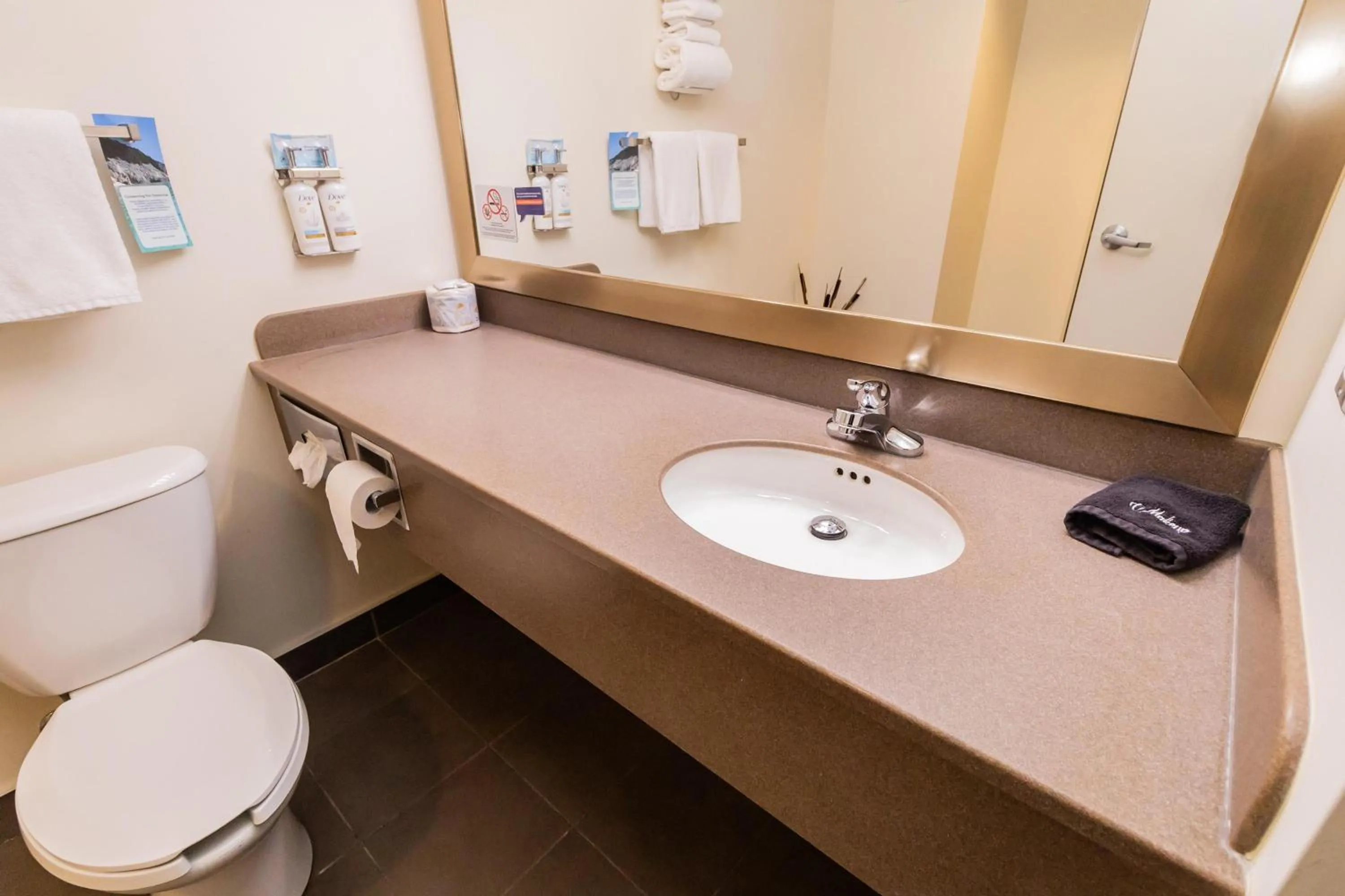 Bathroom in Deer Lake Horizon Hotel, BW Signature Collection