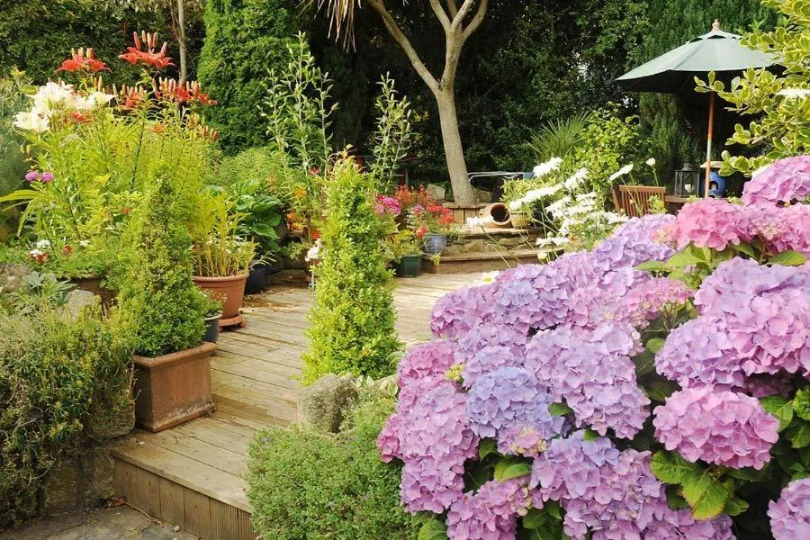 Spring in Stirabout Lane B&B