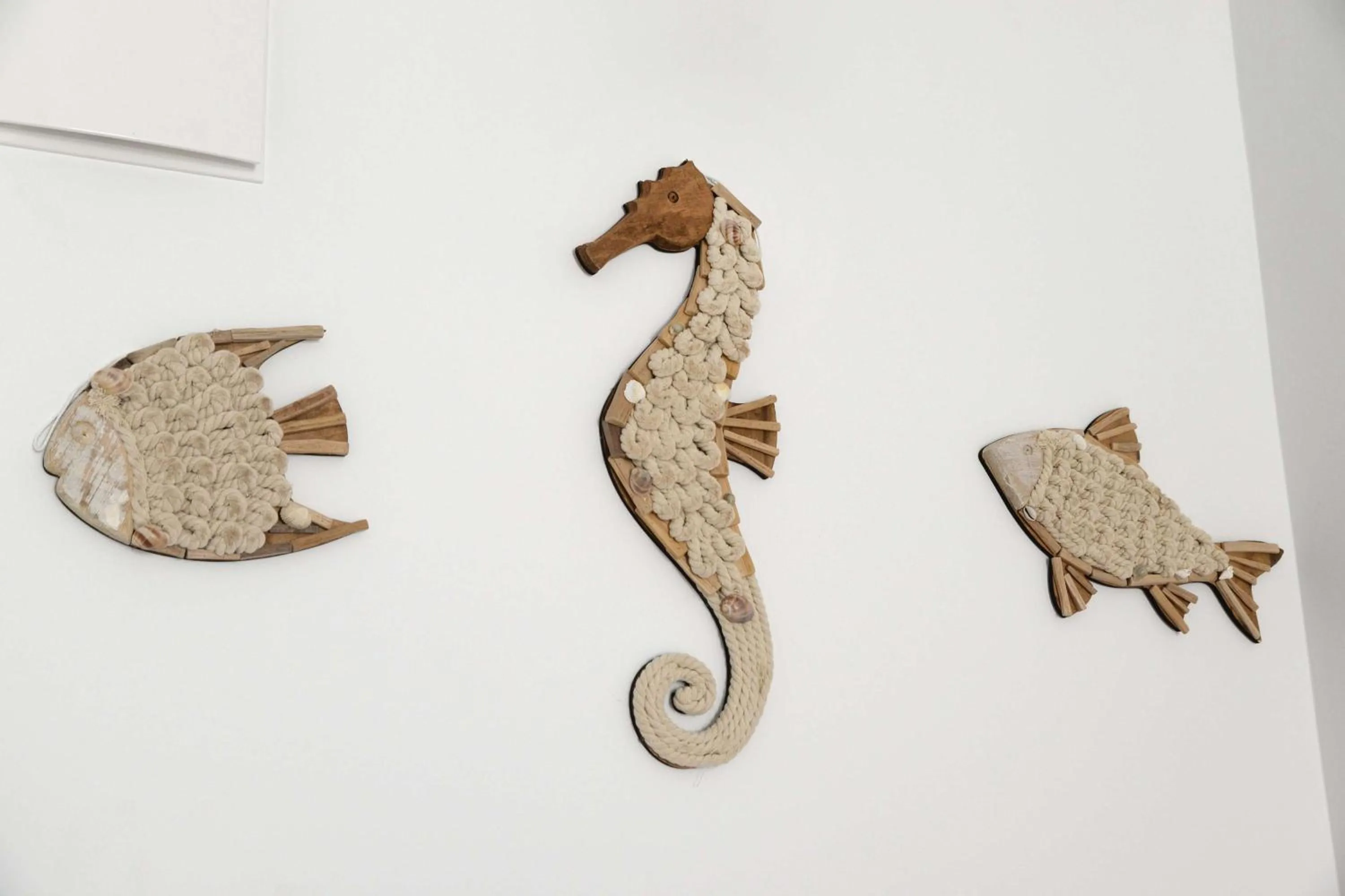 Other in Aphrodite Studios