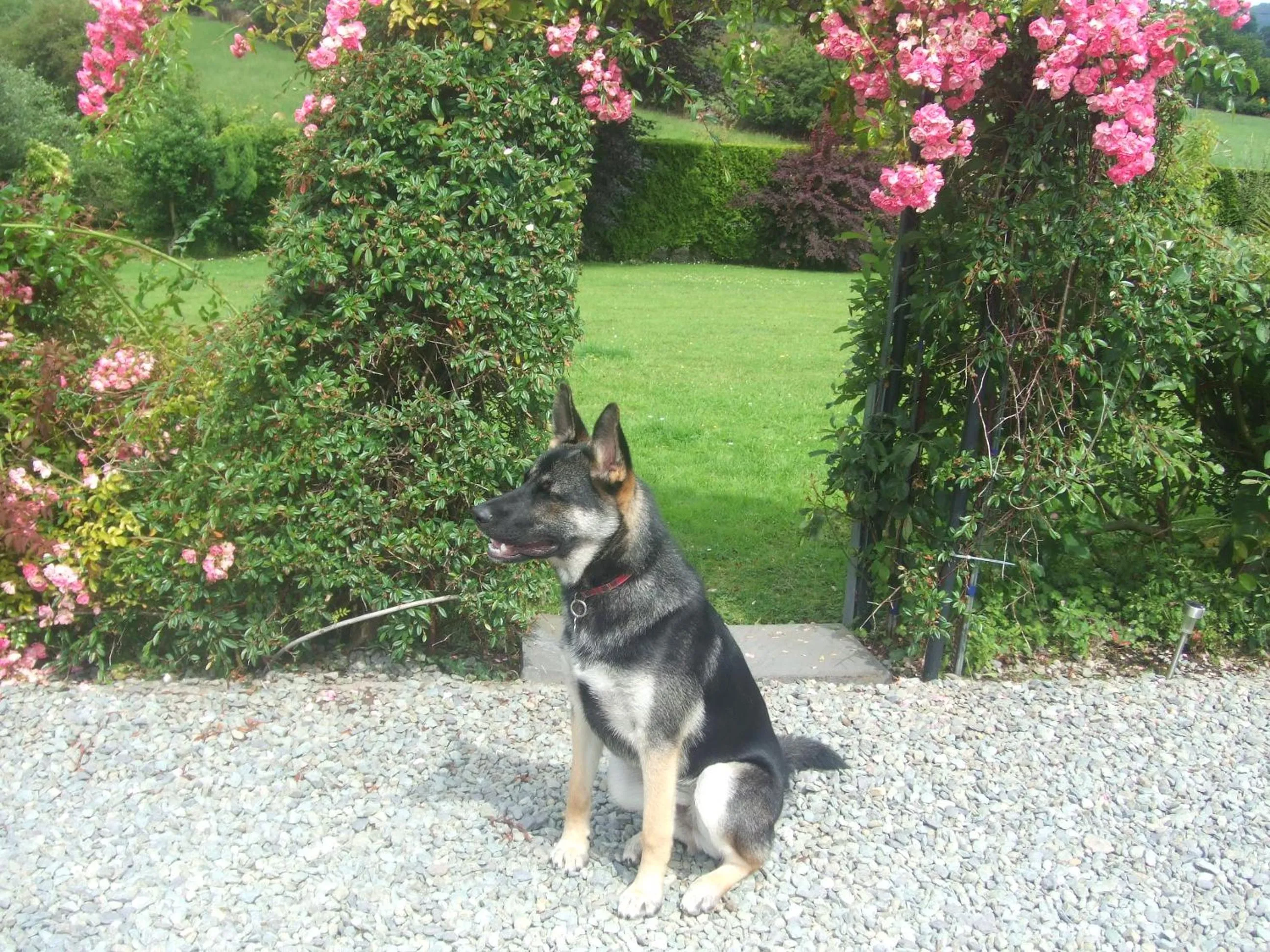 Staff in River Meadows B&B