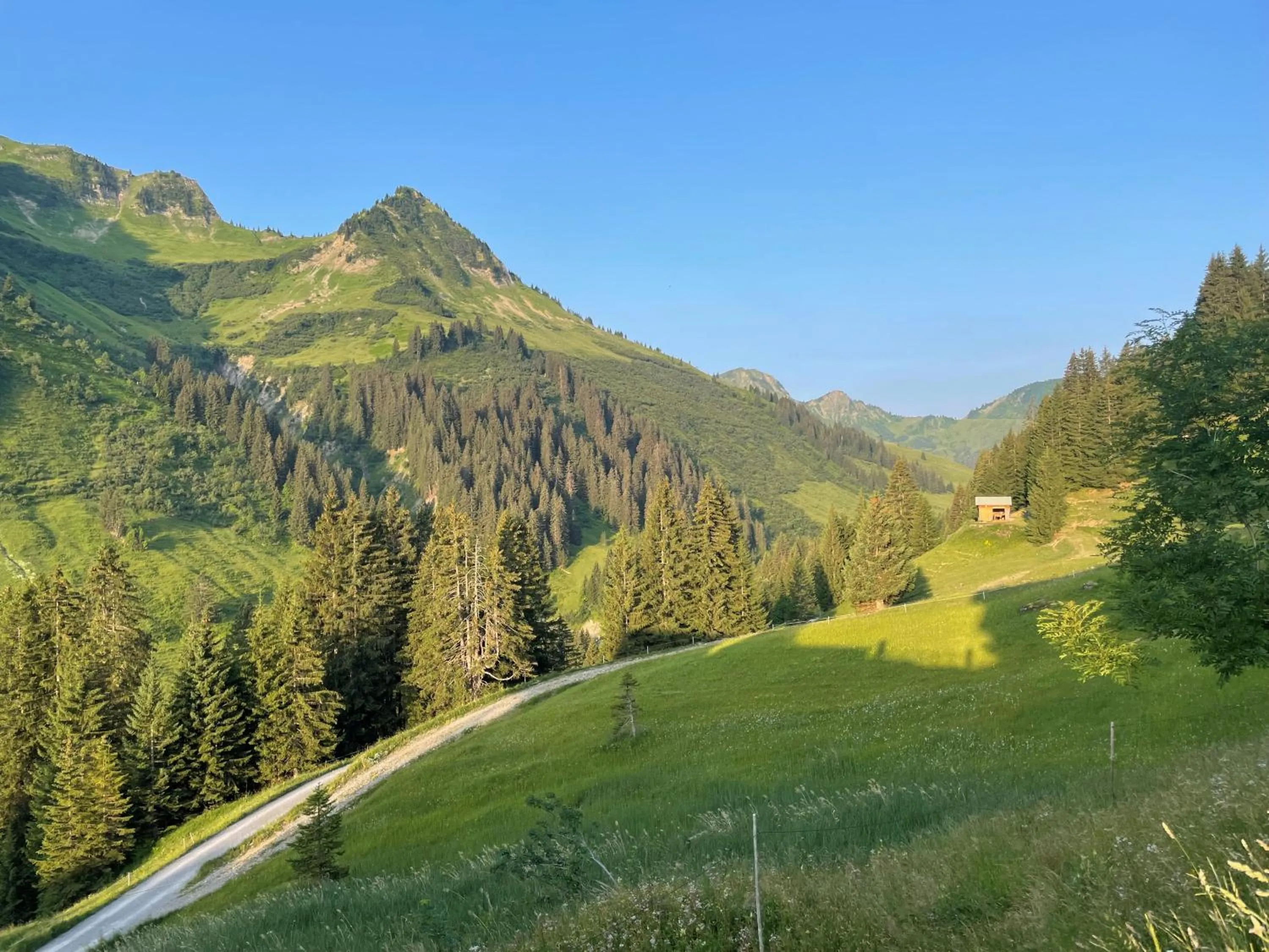 View (from property/room) in Hotel Lucia - 3 Sterne Superior