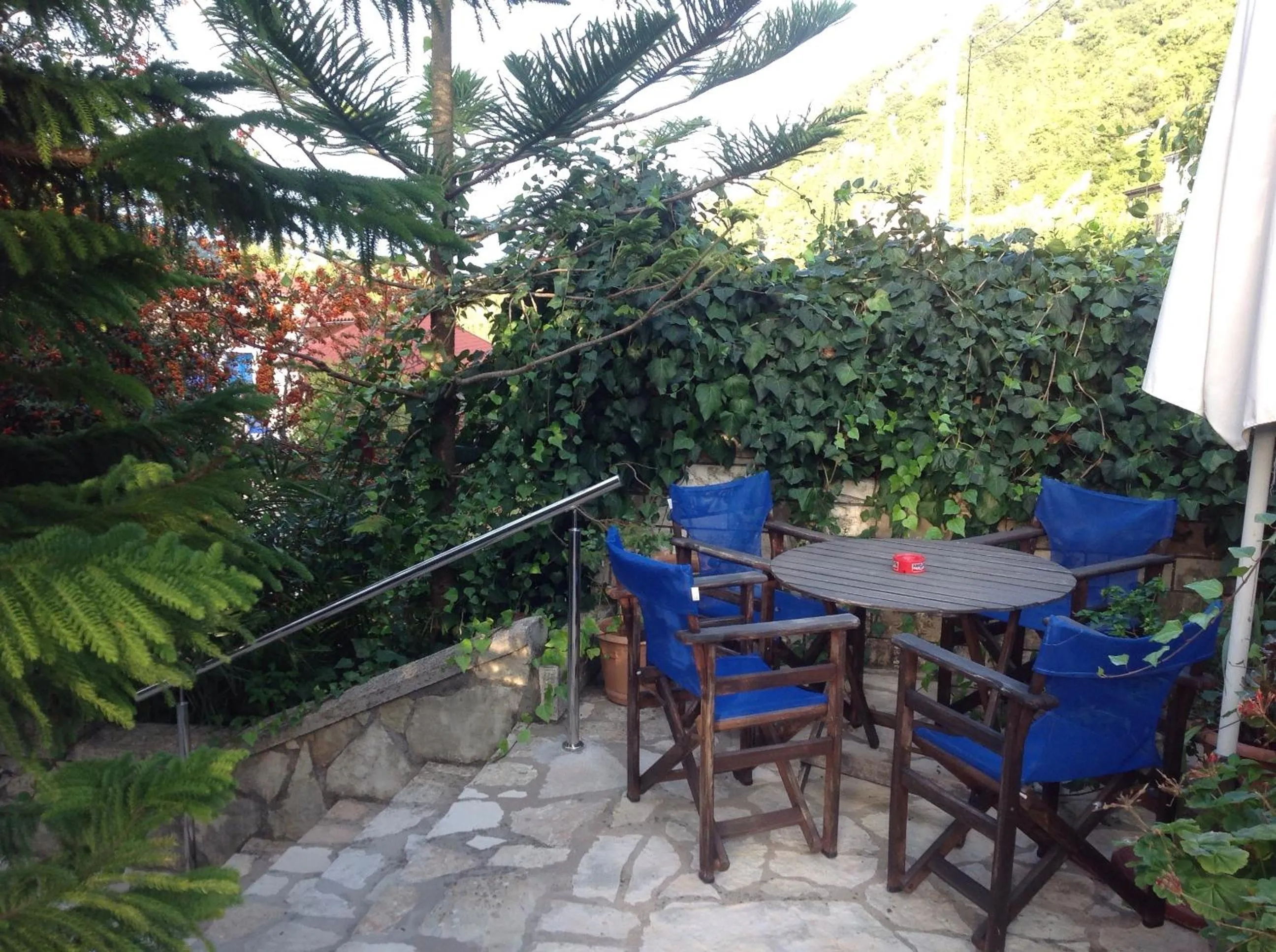 Area and facilities in Hotel Nostos