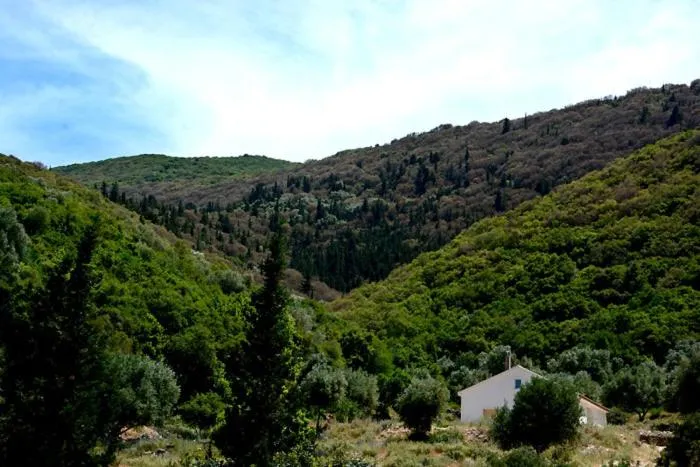 Natural landscape in Hotel Nostos