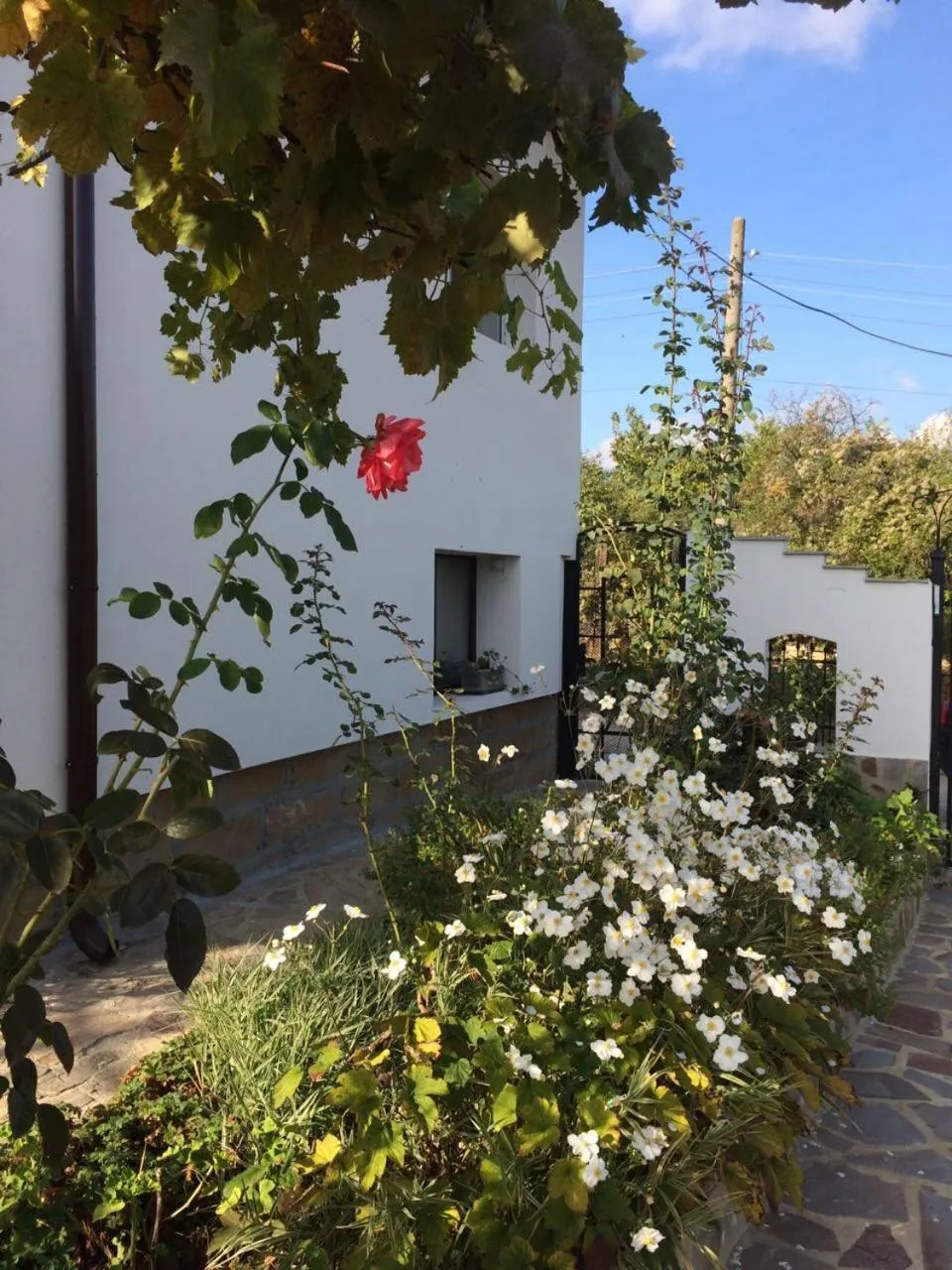 Patio in Family Hotel Belvedere
