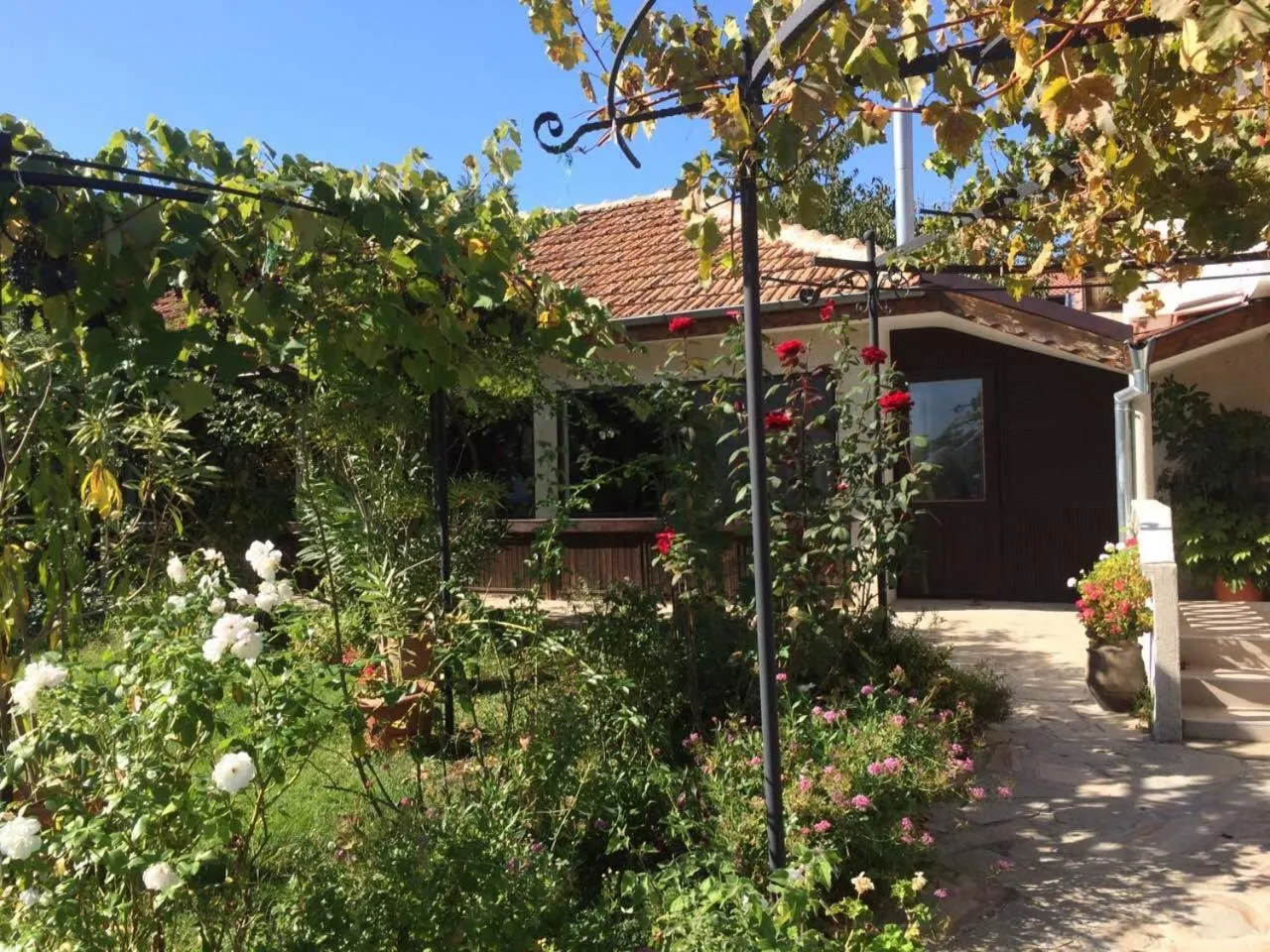 Restaurant/places to eat in Family Hotel Belvedere