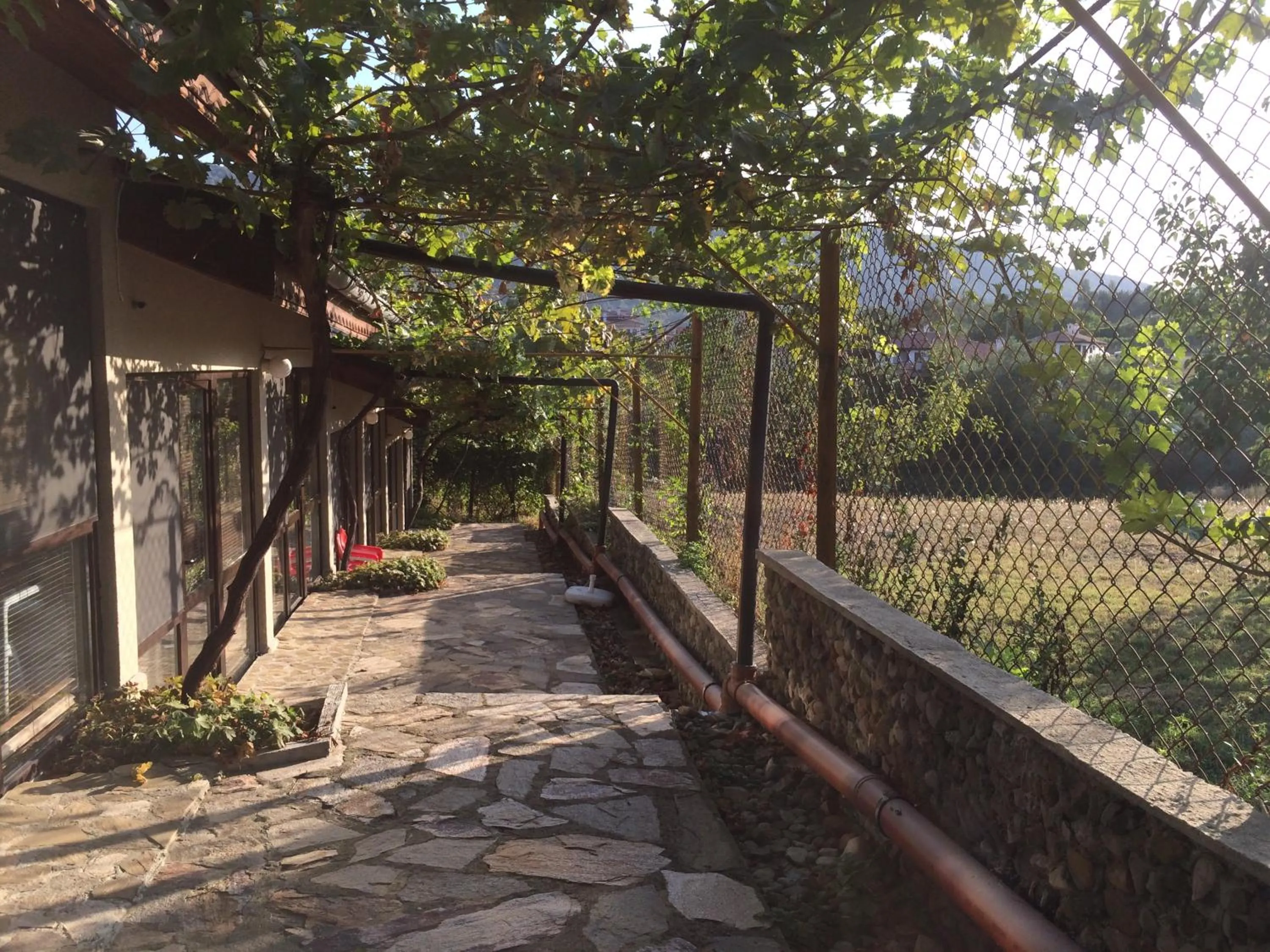 Patio in Family Hotel Belvedere