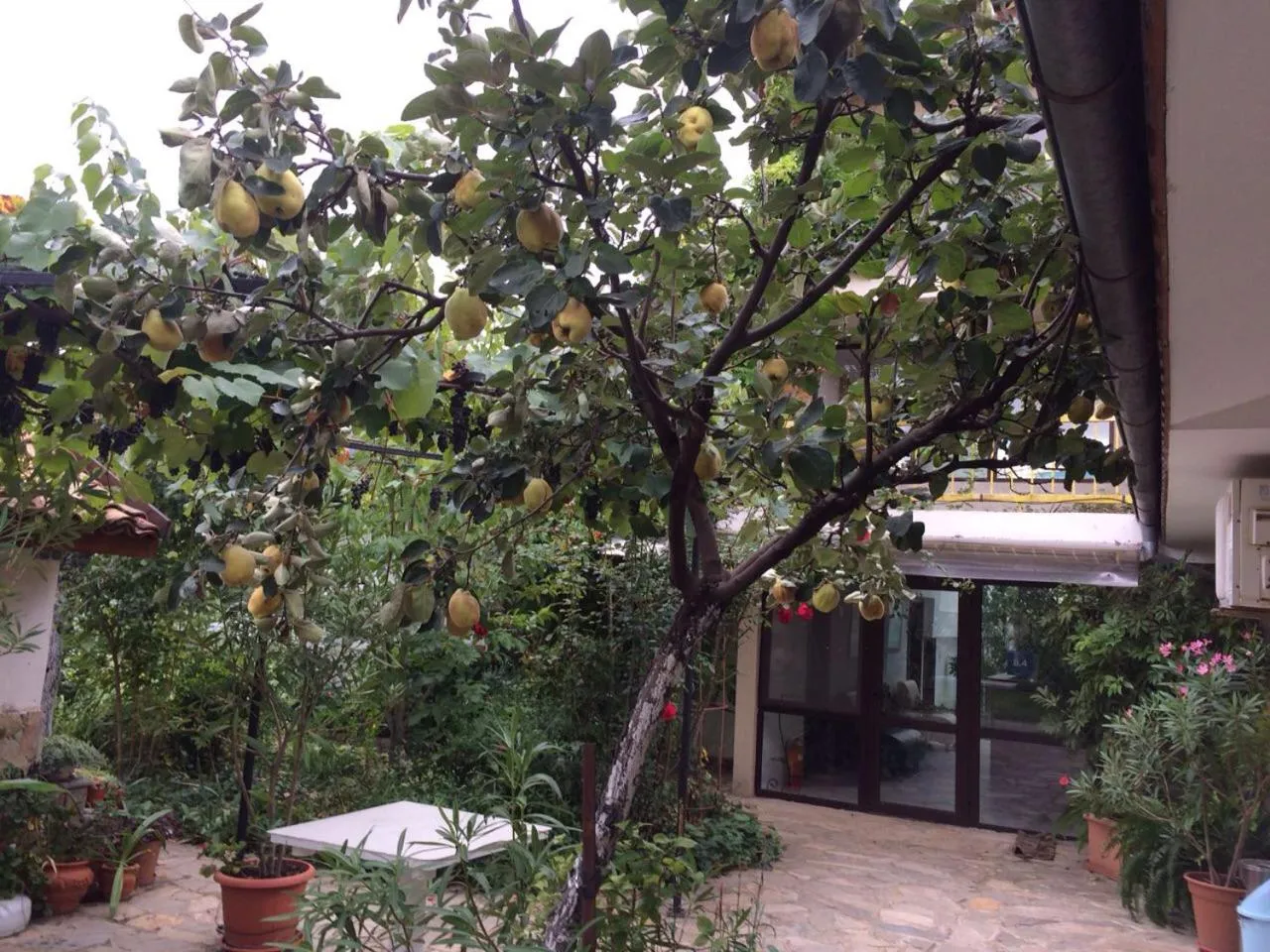 Autumn in Family Hotel Belvedere