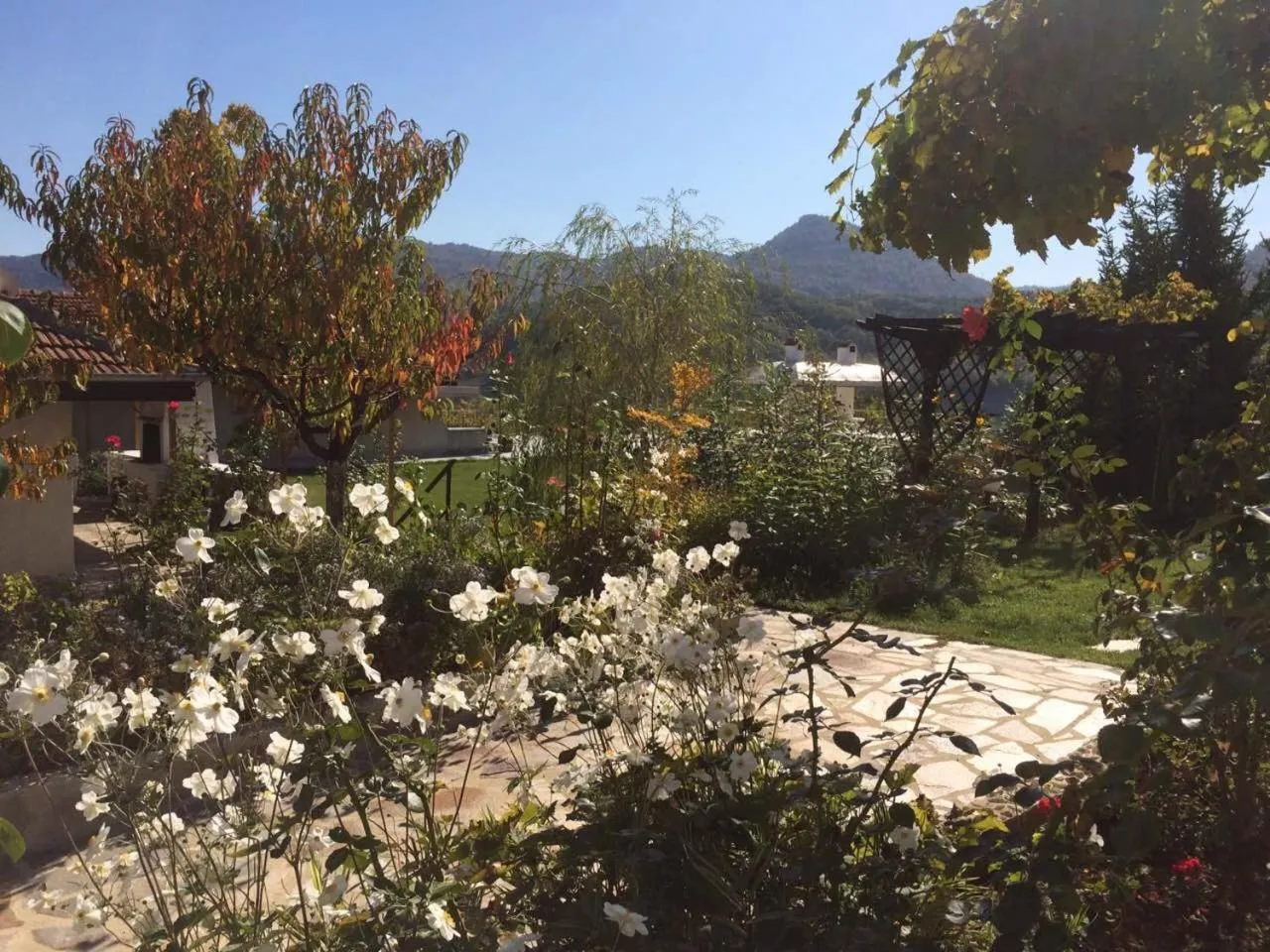 Garden in Family Hotel Belvedere