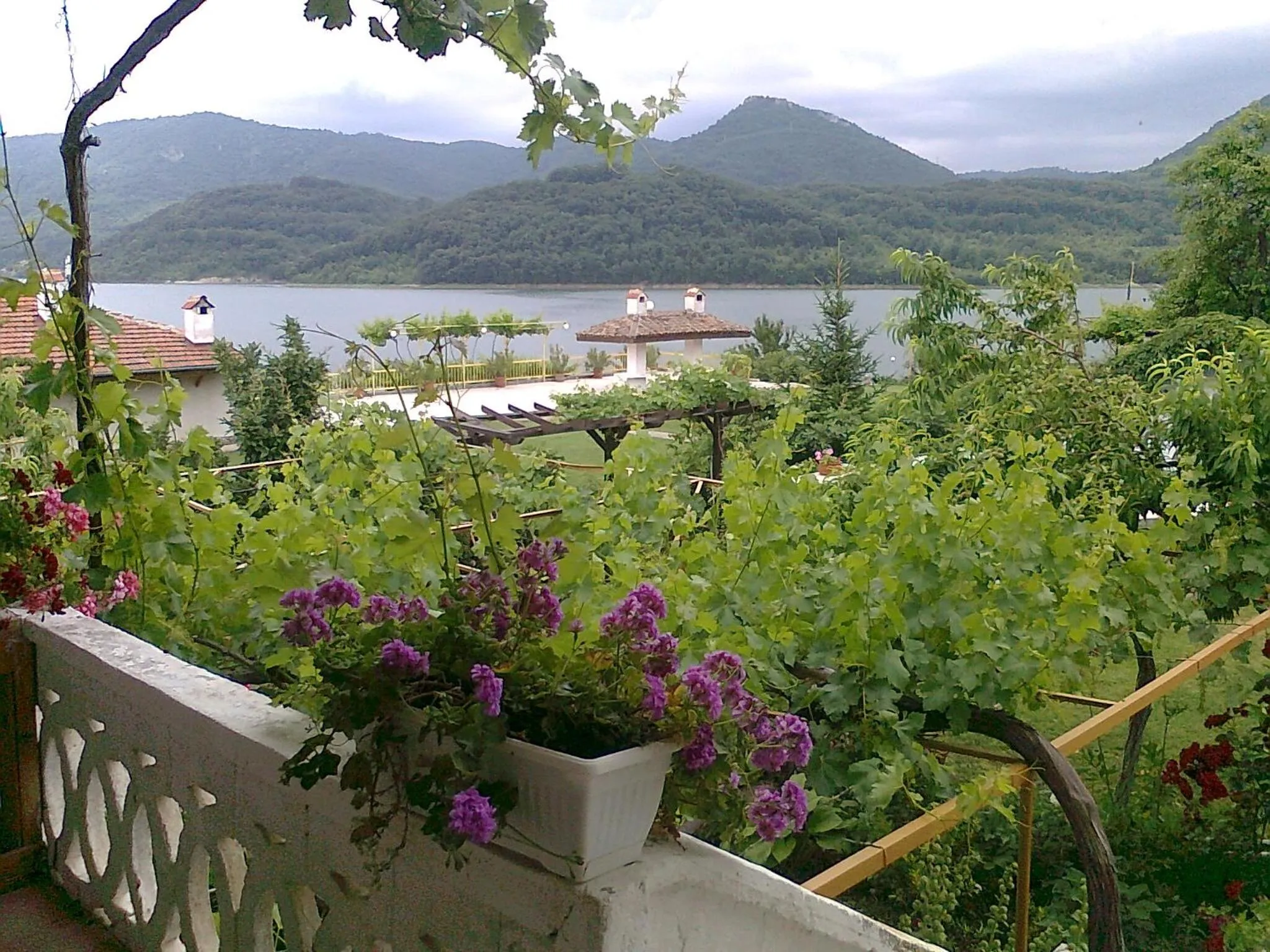 Garden view in Family Hotel Belvedere