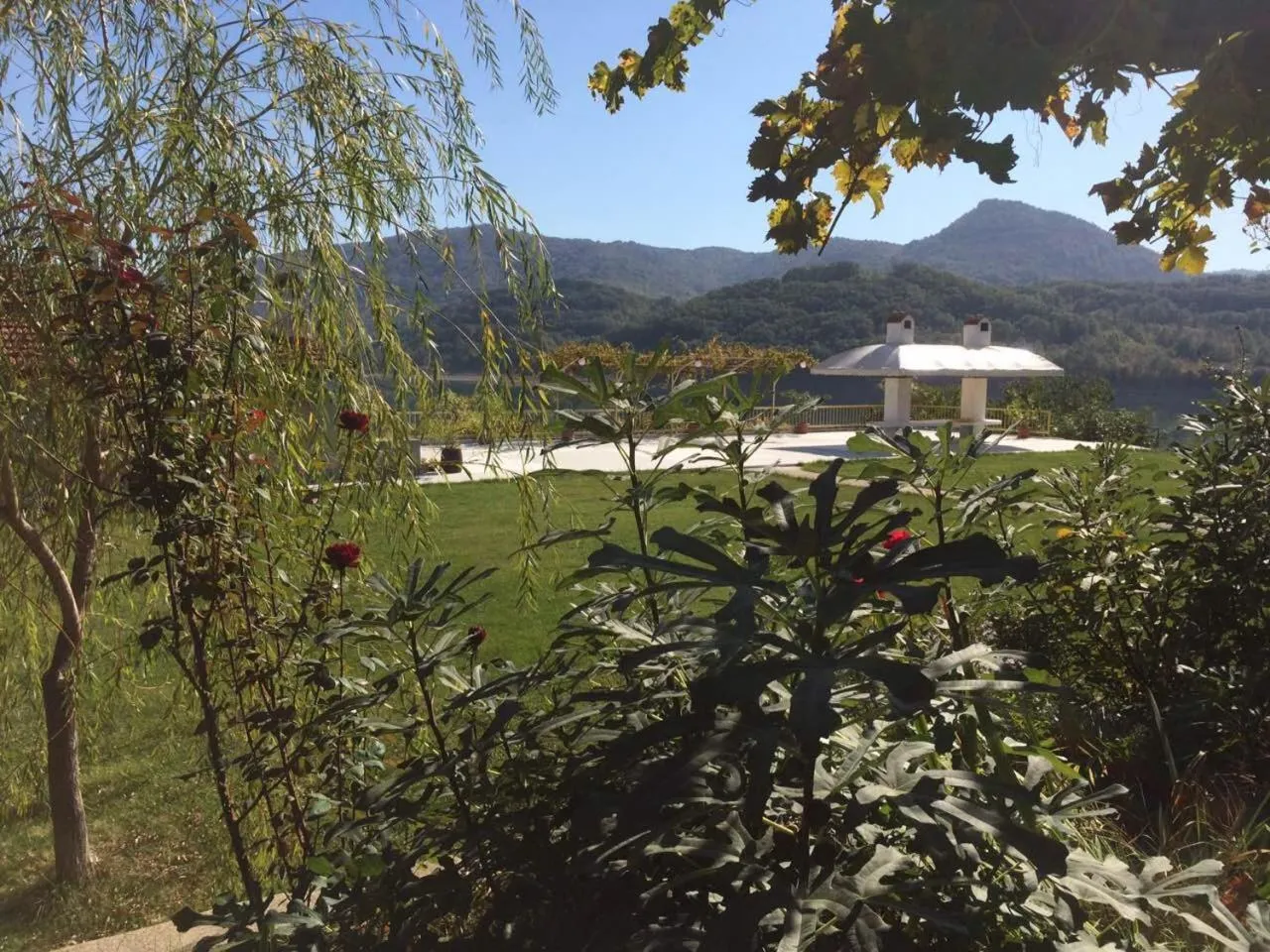 Patio in Family Hotel Belvedere