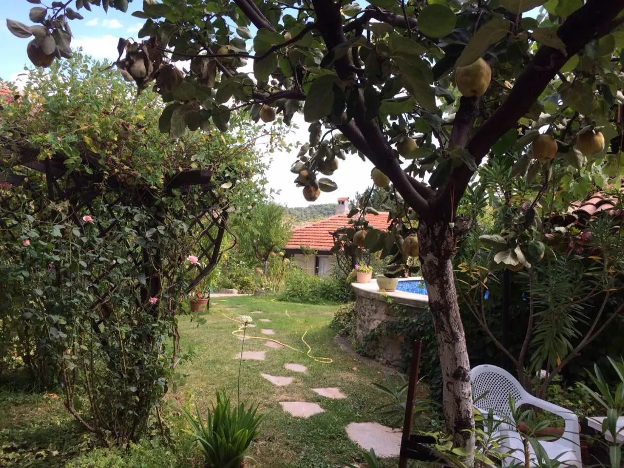 Patio in Family Hotel Belvedere