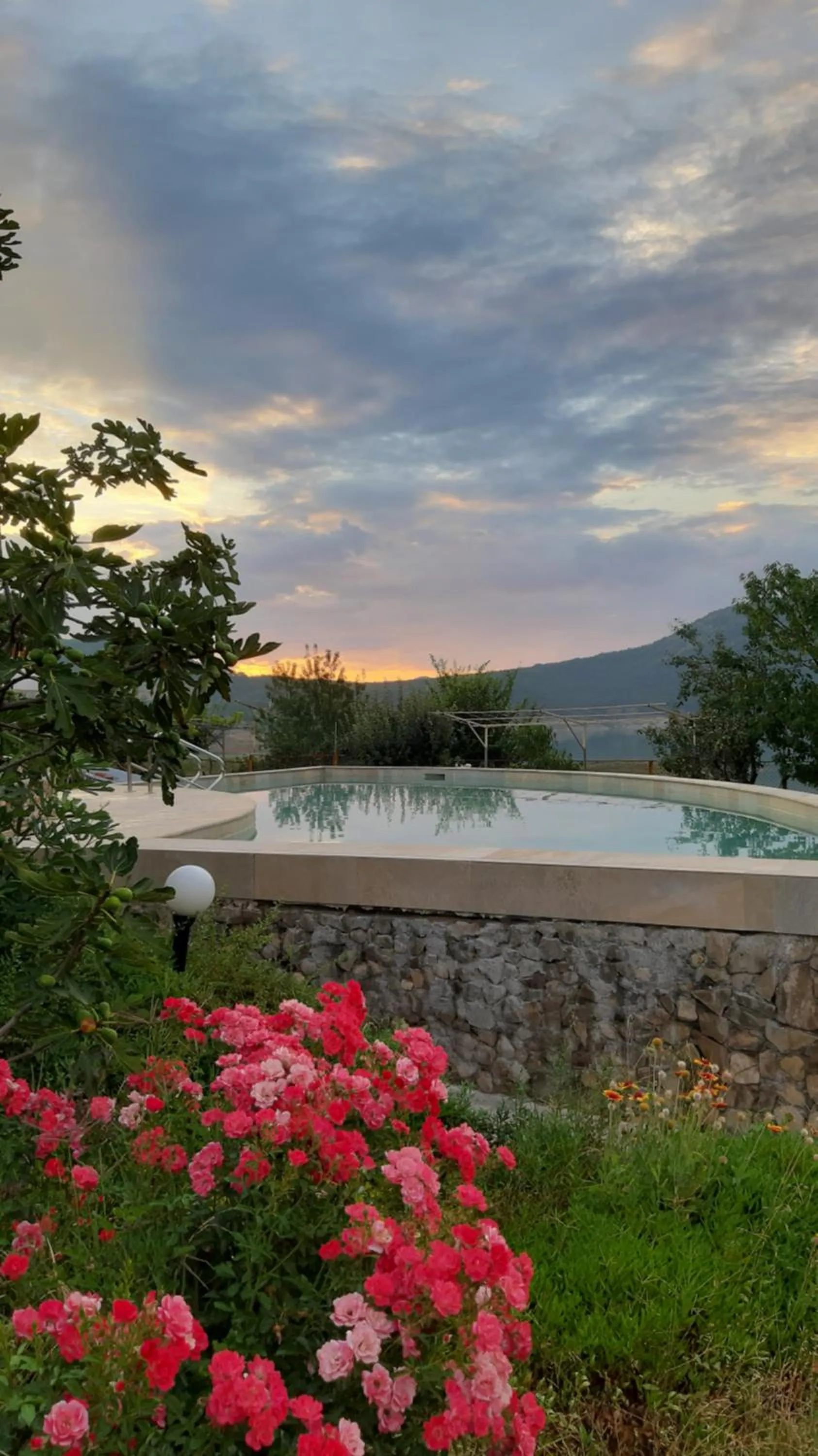 Swimming pool in Family Hotel Belvedere