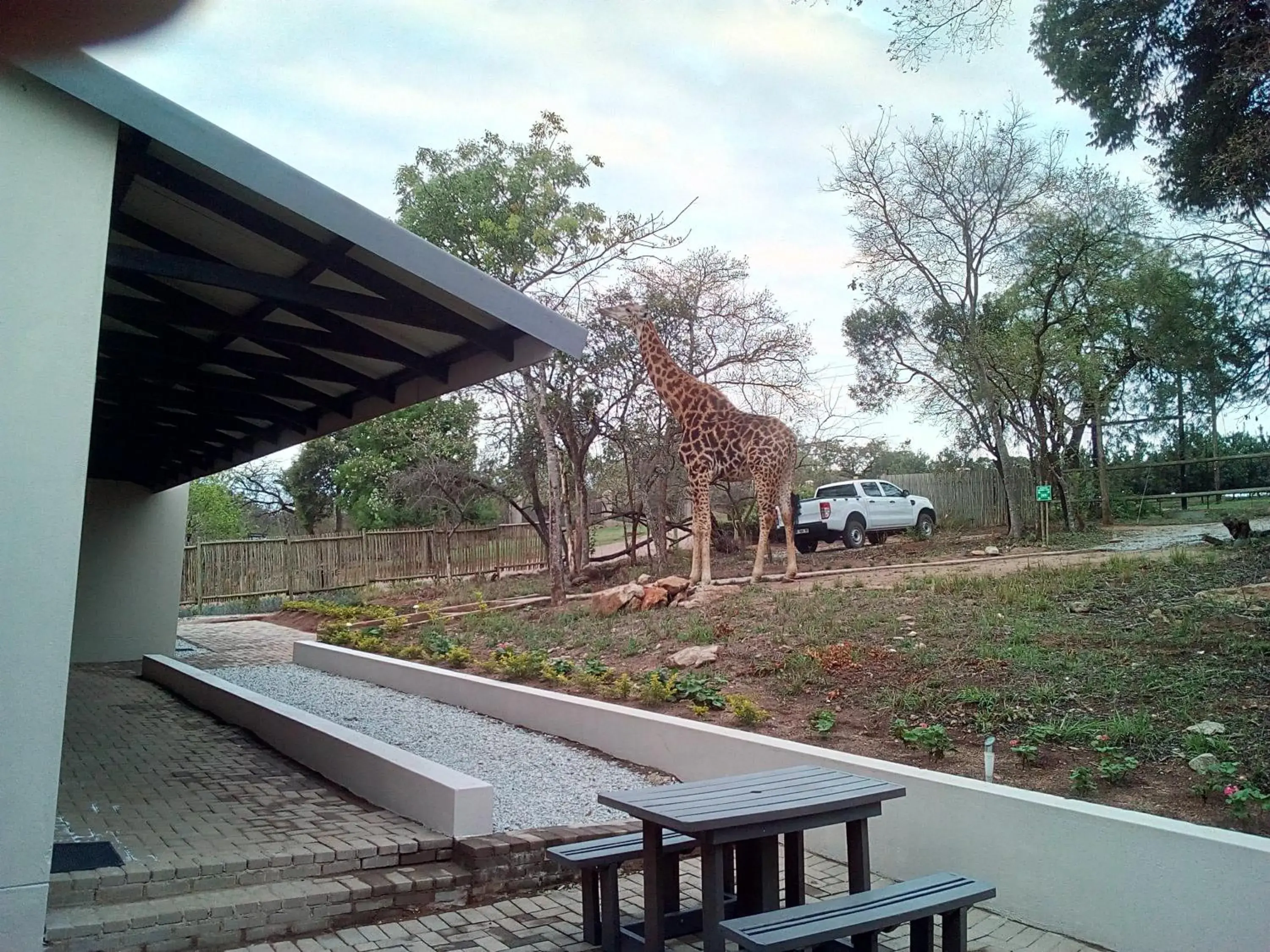 Hazyview Buffalo Game Lodge Hazyview Buffalo Game Lodge