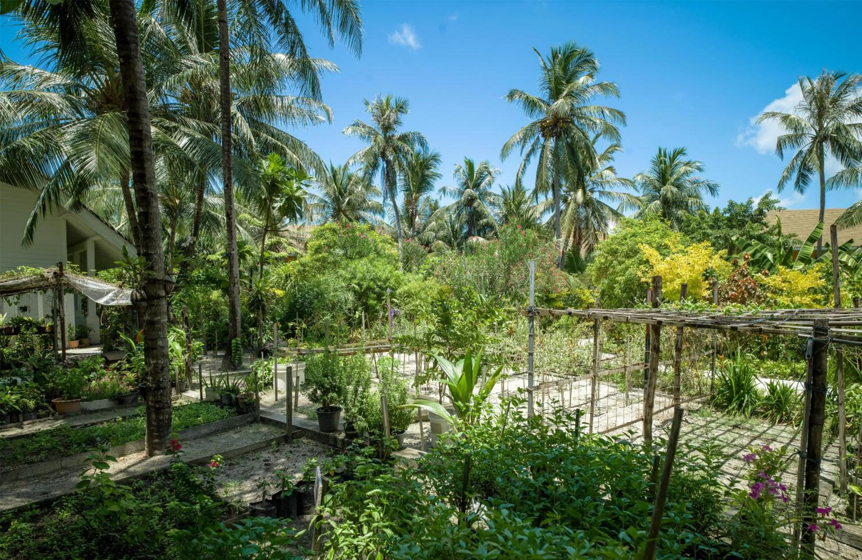 Garden in SAii Lagoon Maldives, Curio Collection By Hilton