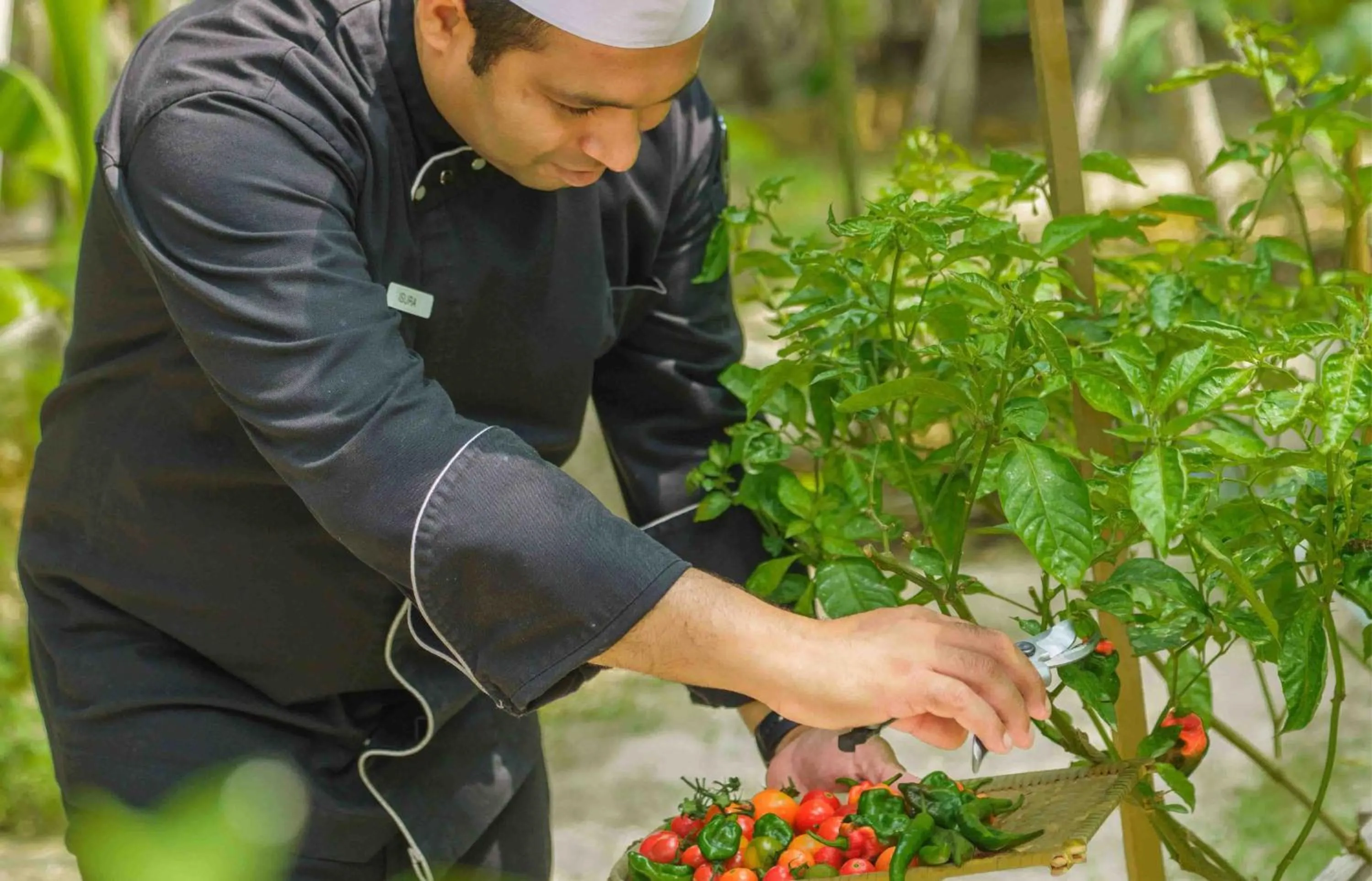 Food and drinks in SAii Lagoon Maldives, Curio Collection By Hilton