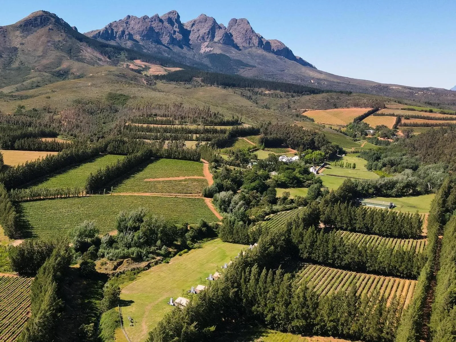 Bird's eye view in AfriCamps at Doolhof Wine Estate
