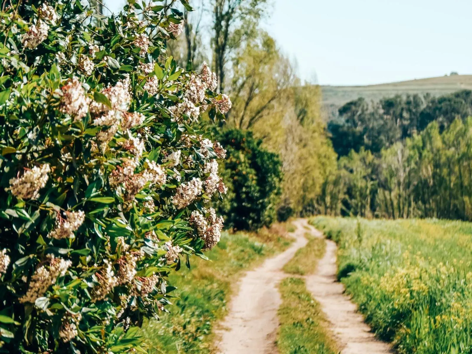 Property building in AfriCamps at Doolhof Wine Estate