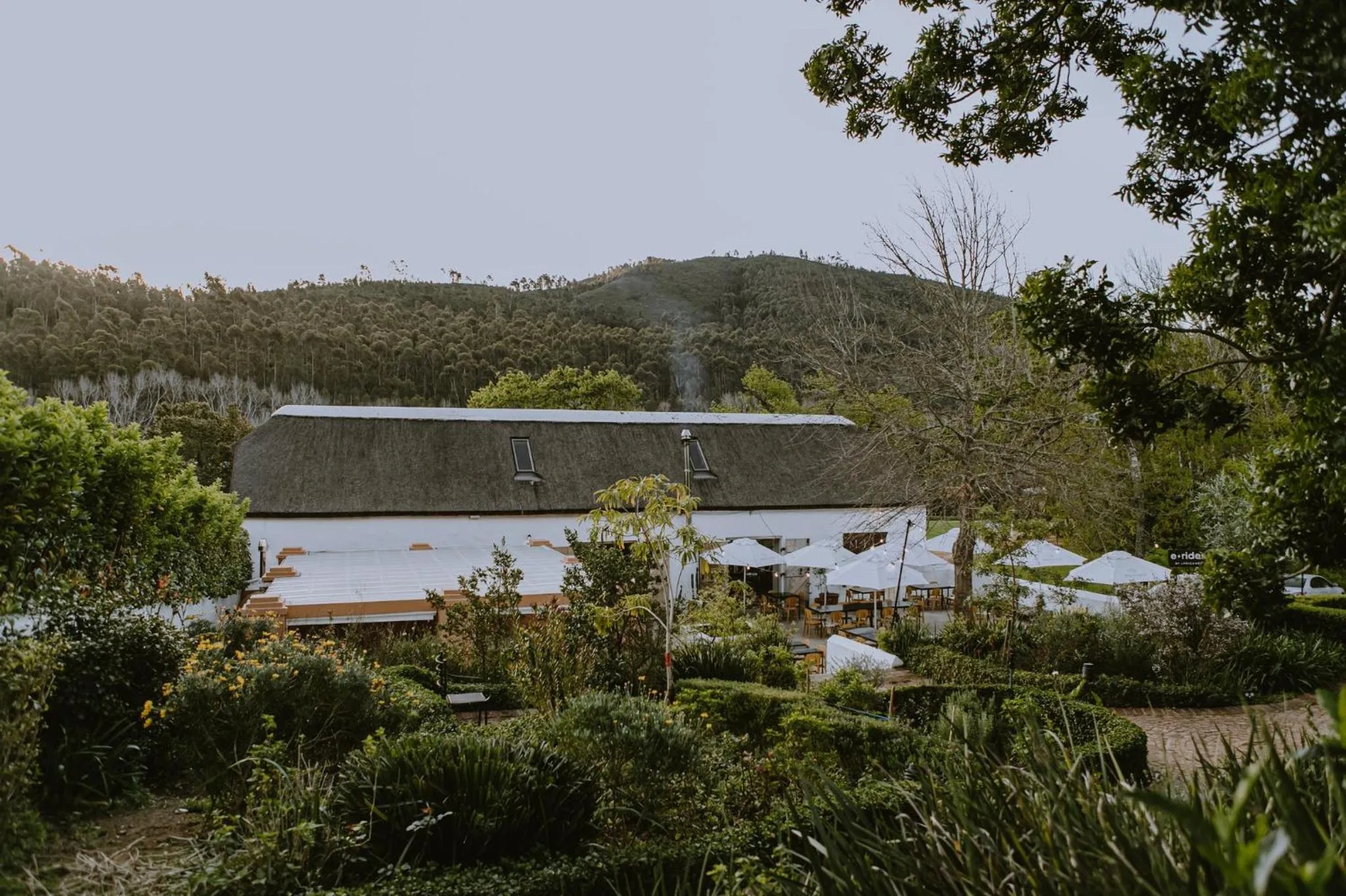 Restaurant/places to eat in AfriCamps at Doolhof Wine Estate