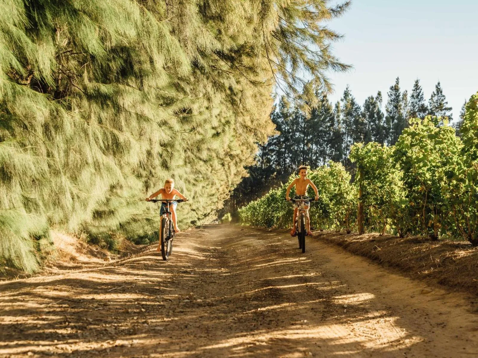 Property building in AfriCamps at Doolhof Wine Estate