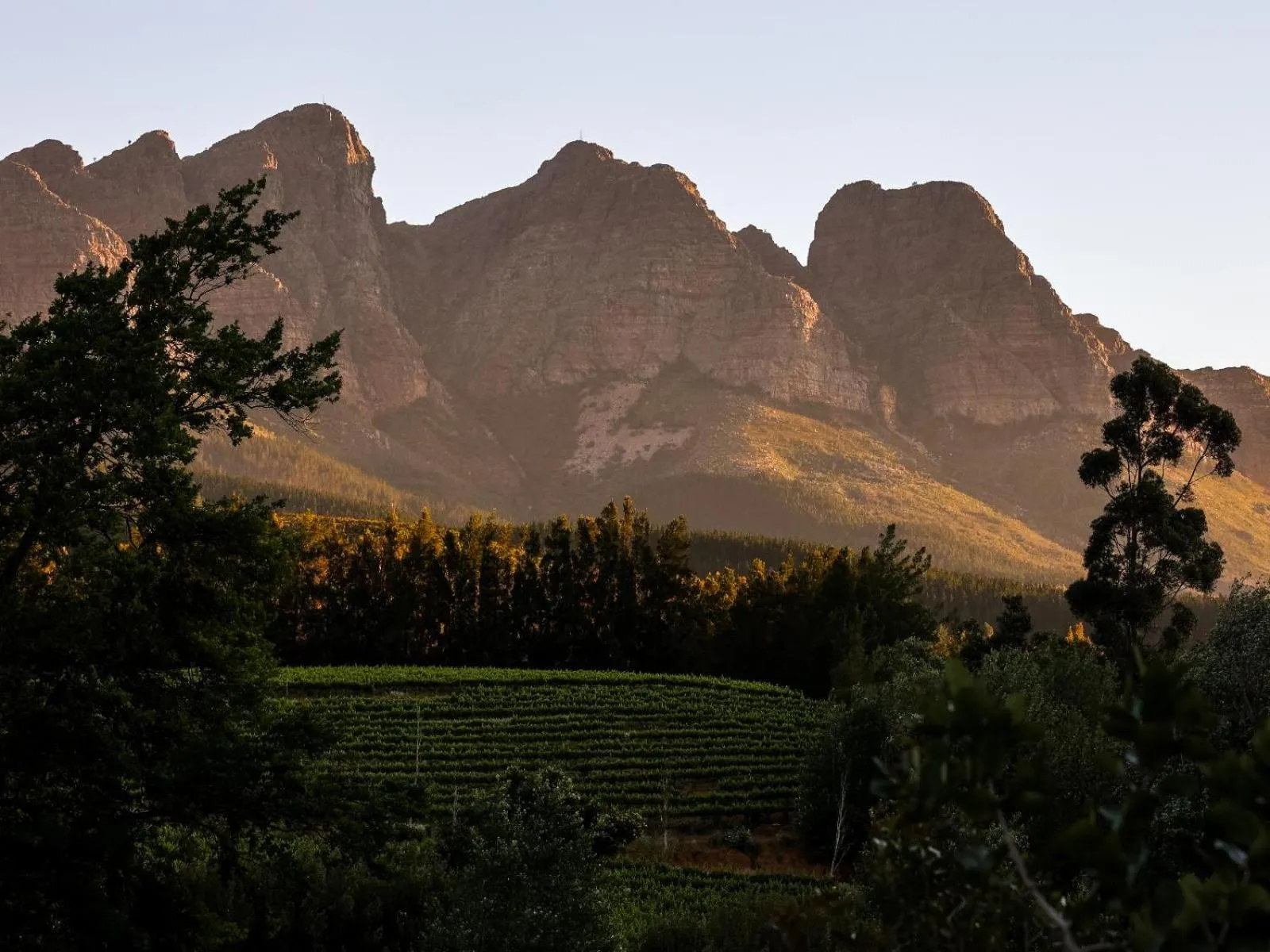 Natural landscape in AfriCamps at Doolhof Wine Estate