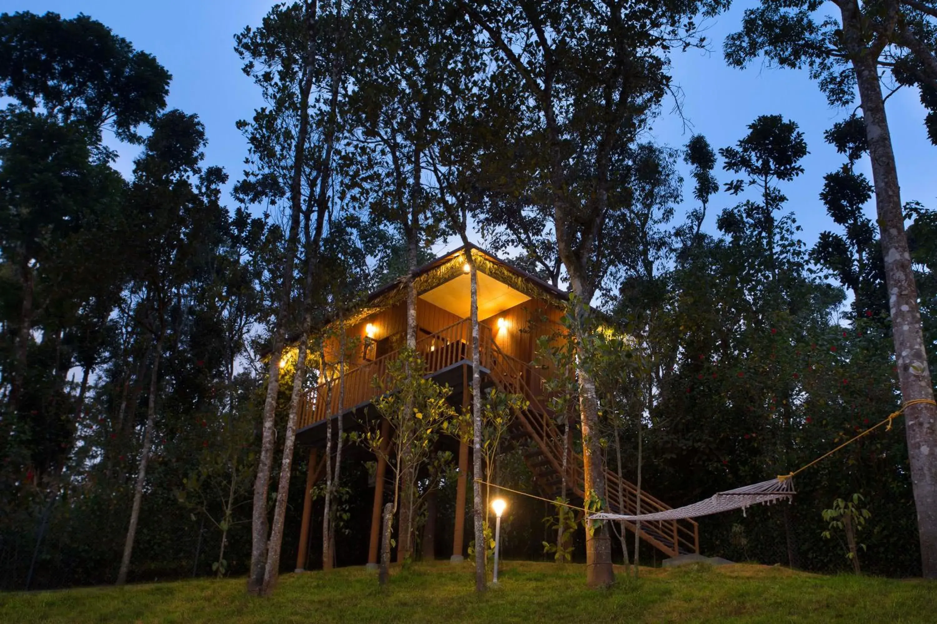 Tree House in Spices Lap, Thekkady Tree House in Spices Lap, Thekkady