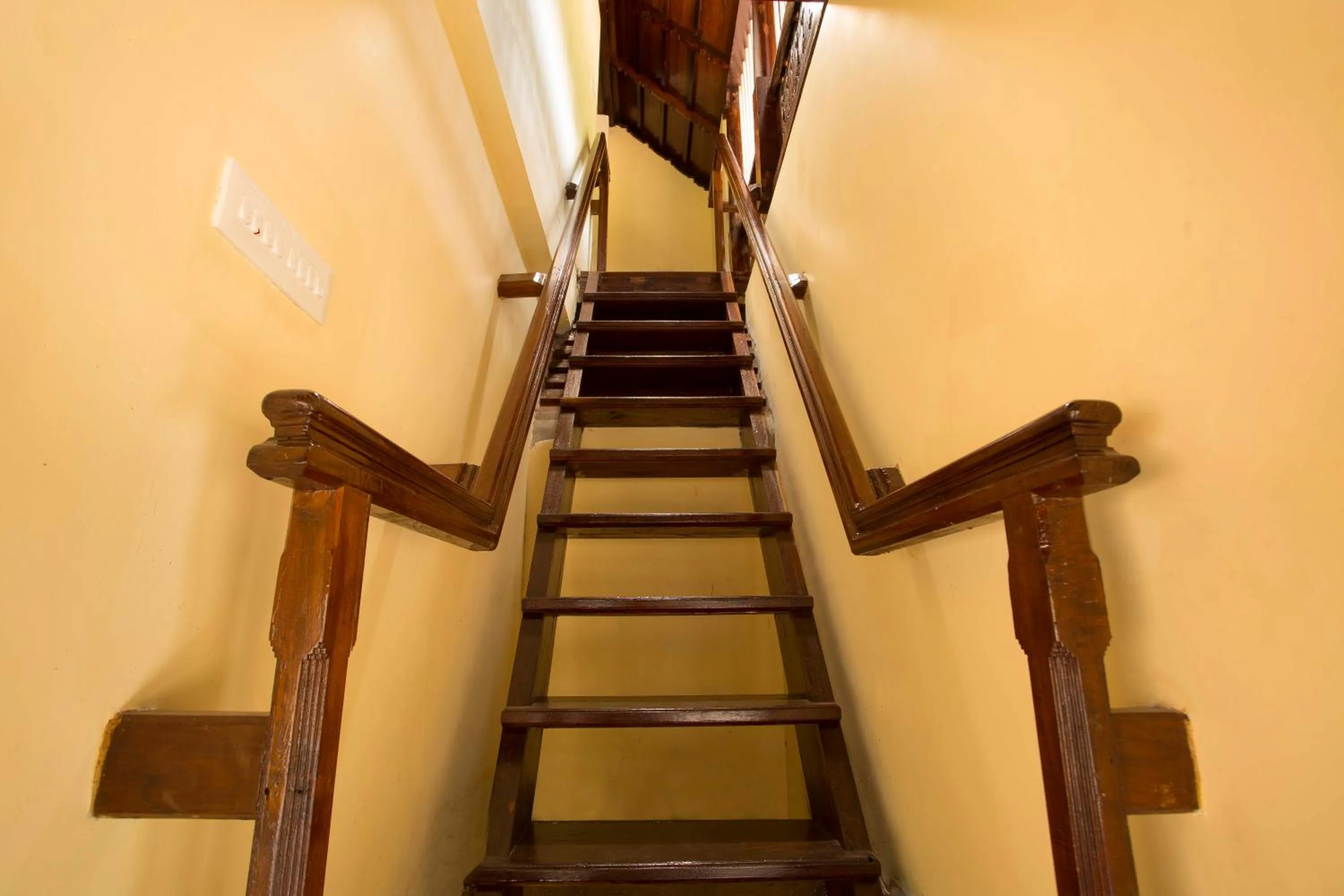 Area and facilities in Spices Lap, Thekkady