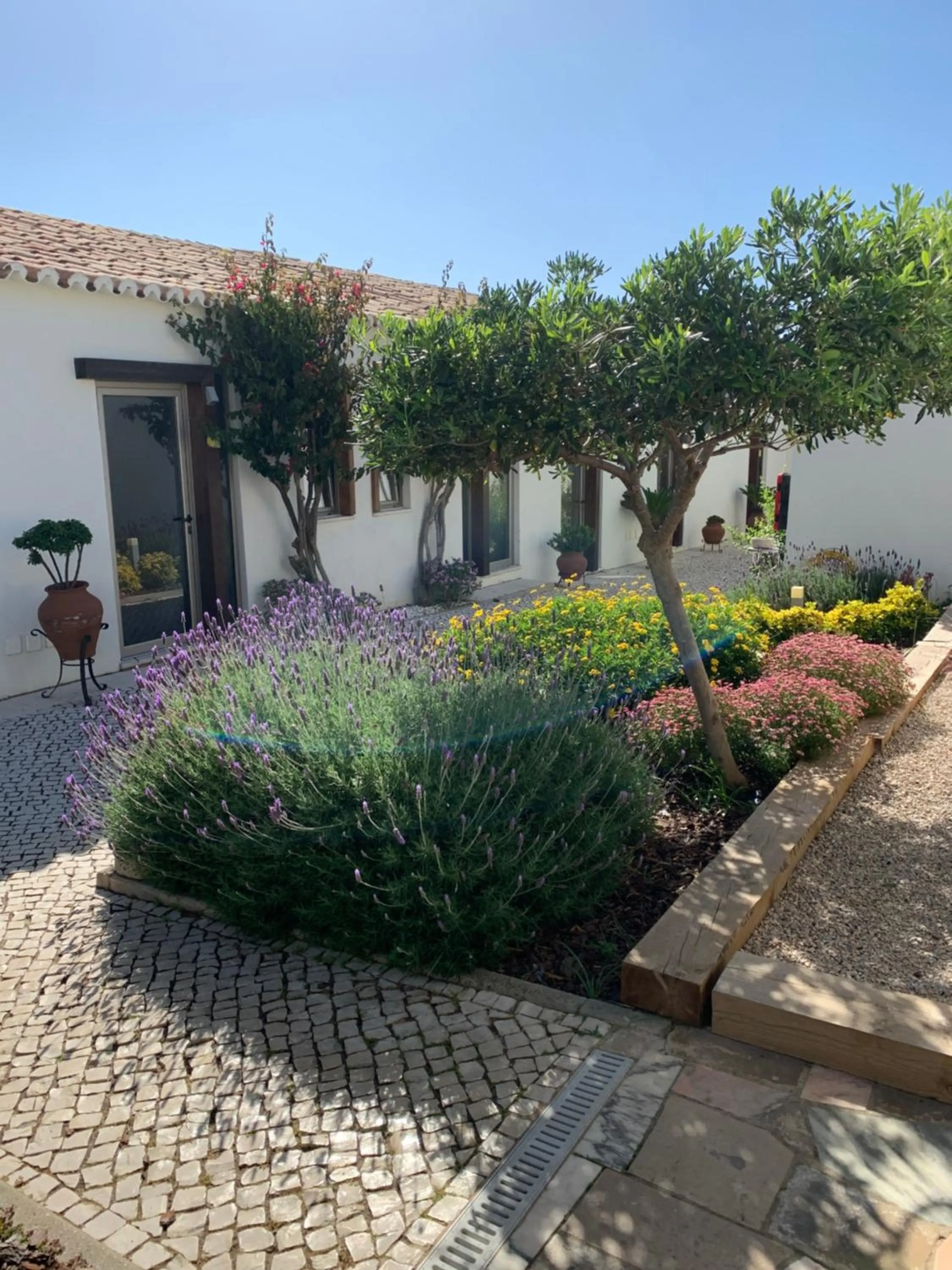 Patio in Lost & Found - Guesthouse & Suites