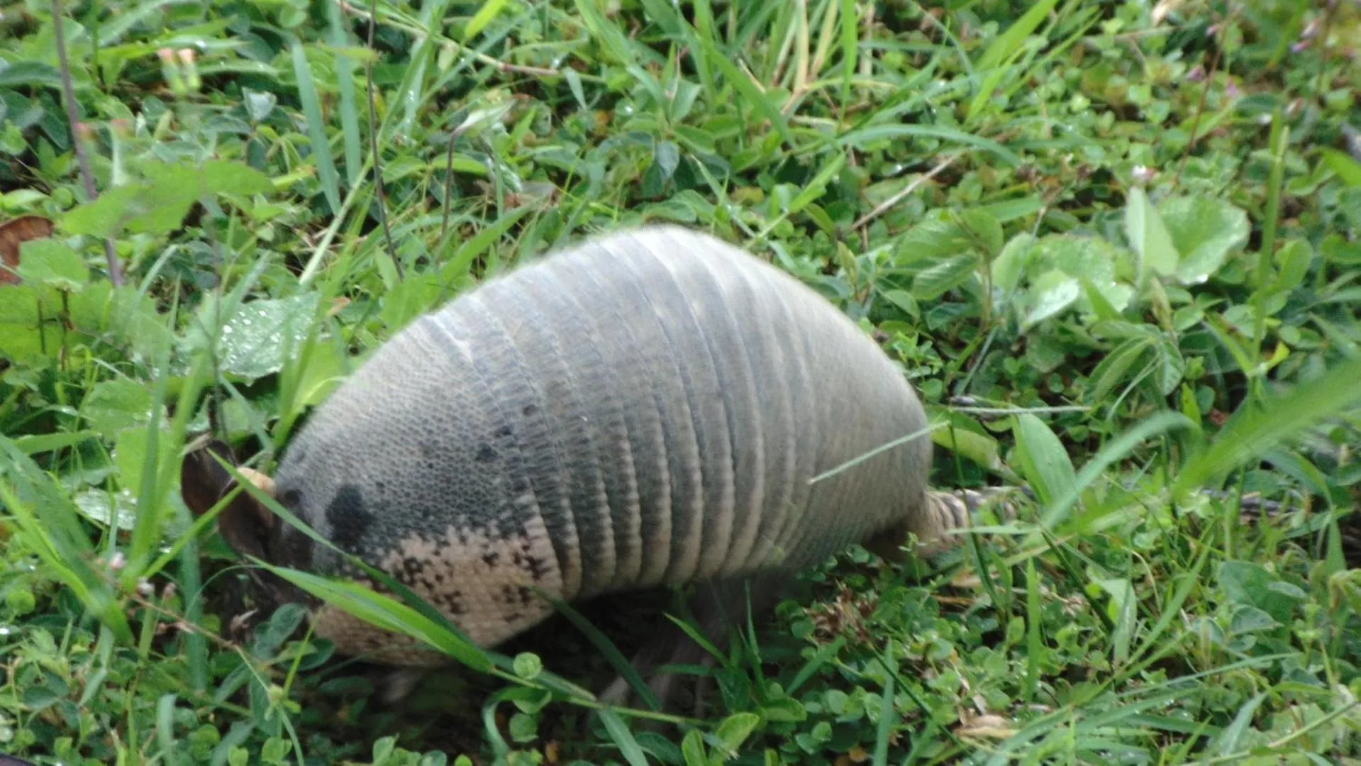 Finca Hotel La Quinta Porra