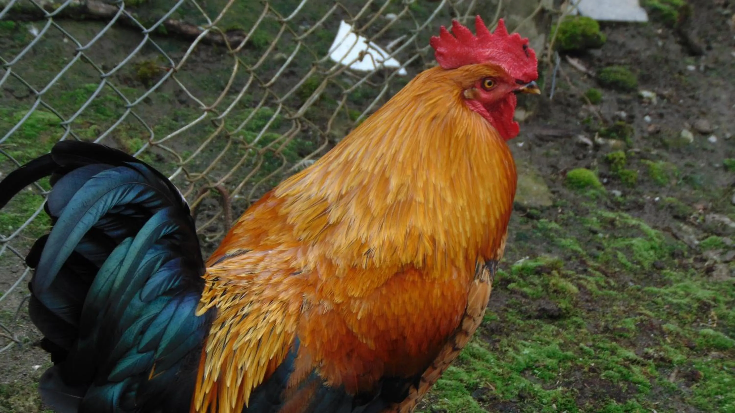 Finca Hotel La Quinta Porra