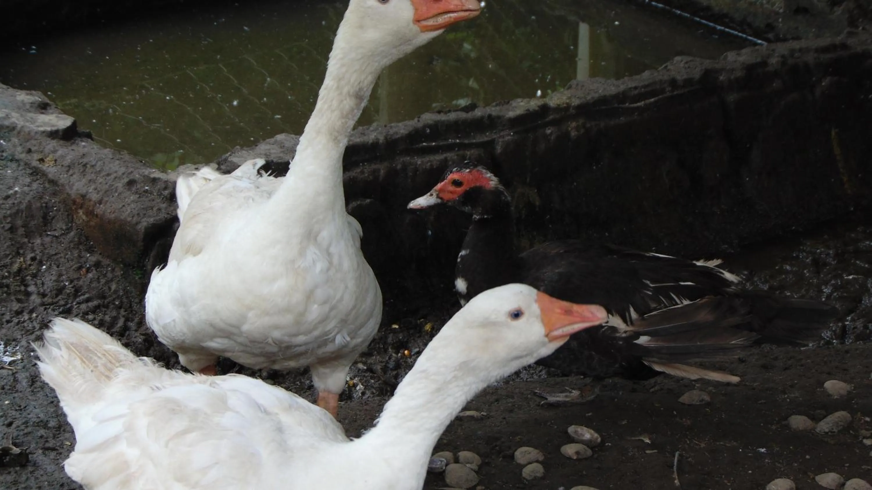 Finca Hotel La Quinta Porra