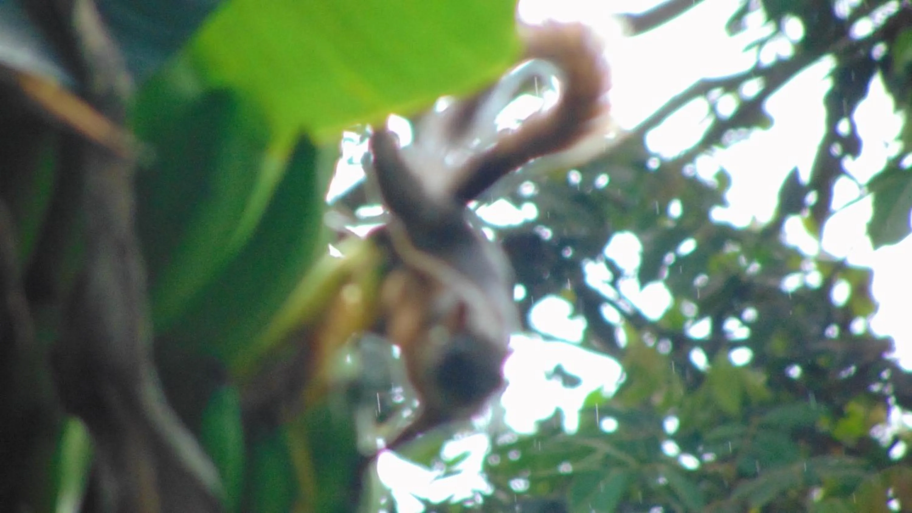 Finca Hotel La Quinta Porra