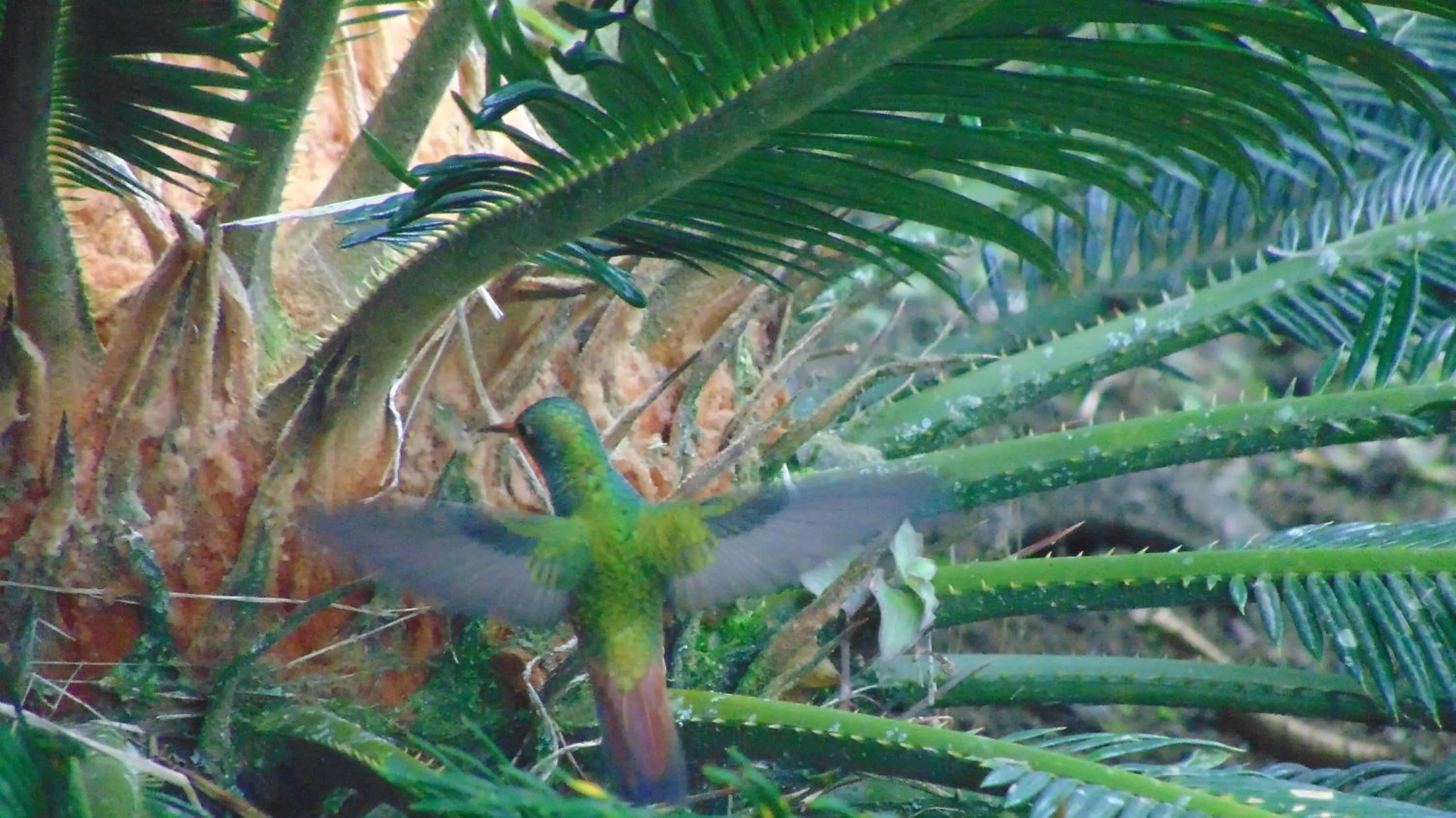 Finca Hotel La Quinta Porra