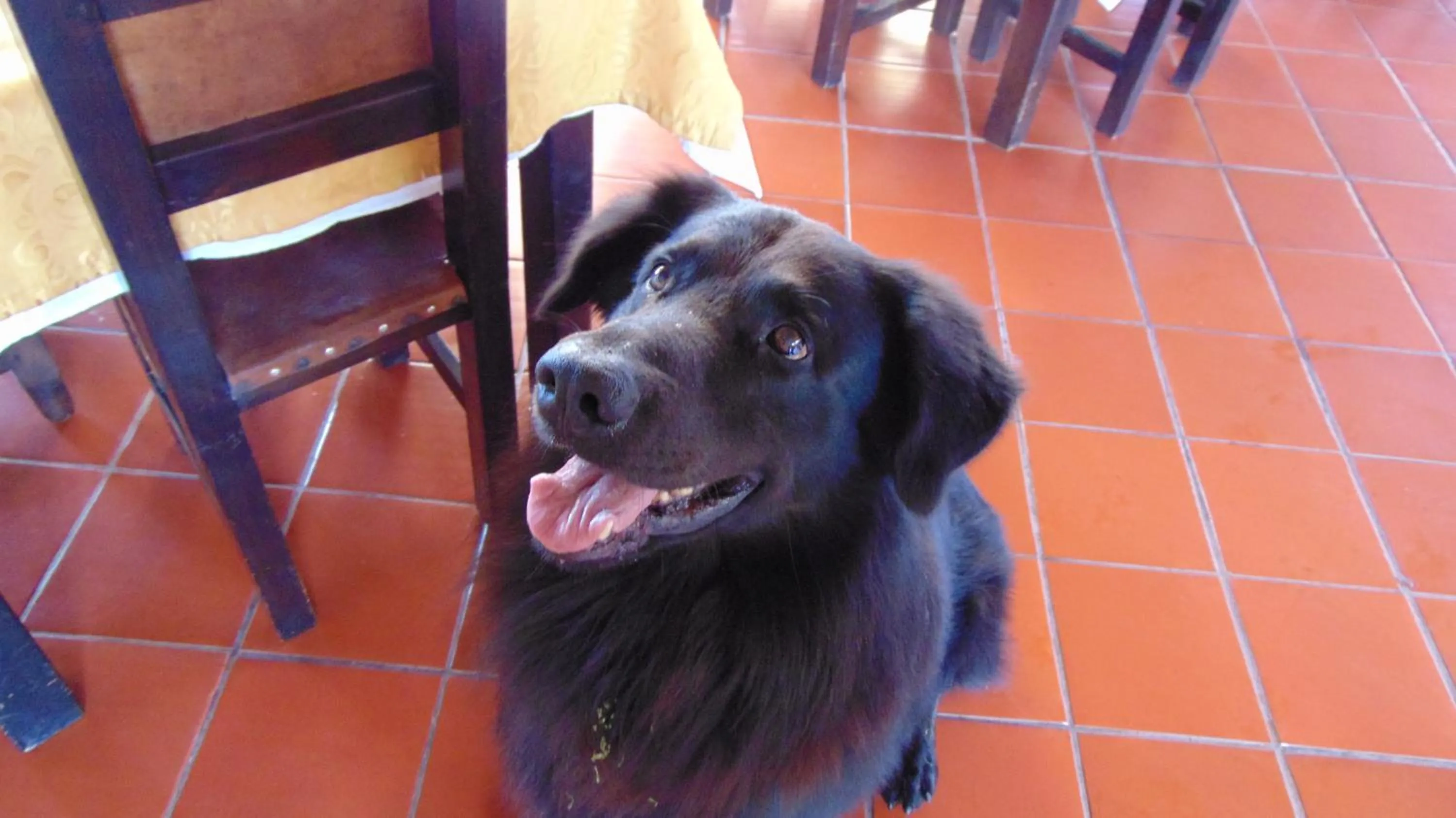 Finca Hotel La Quinta Porra