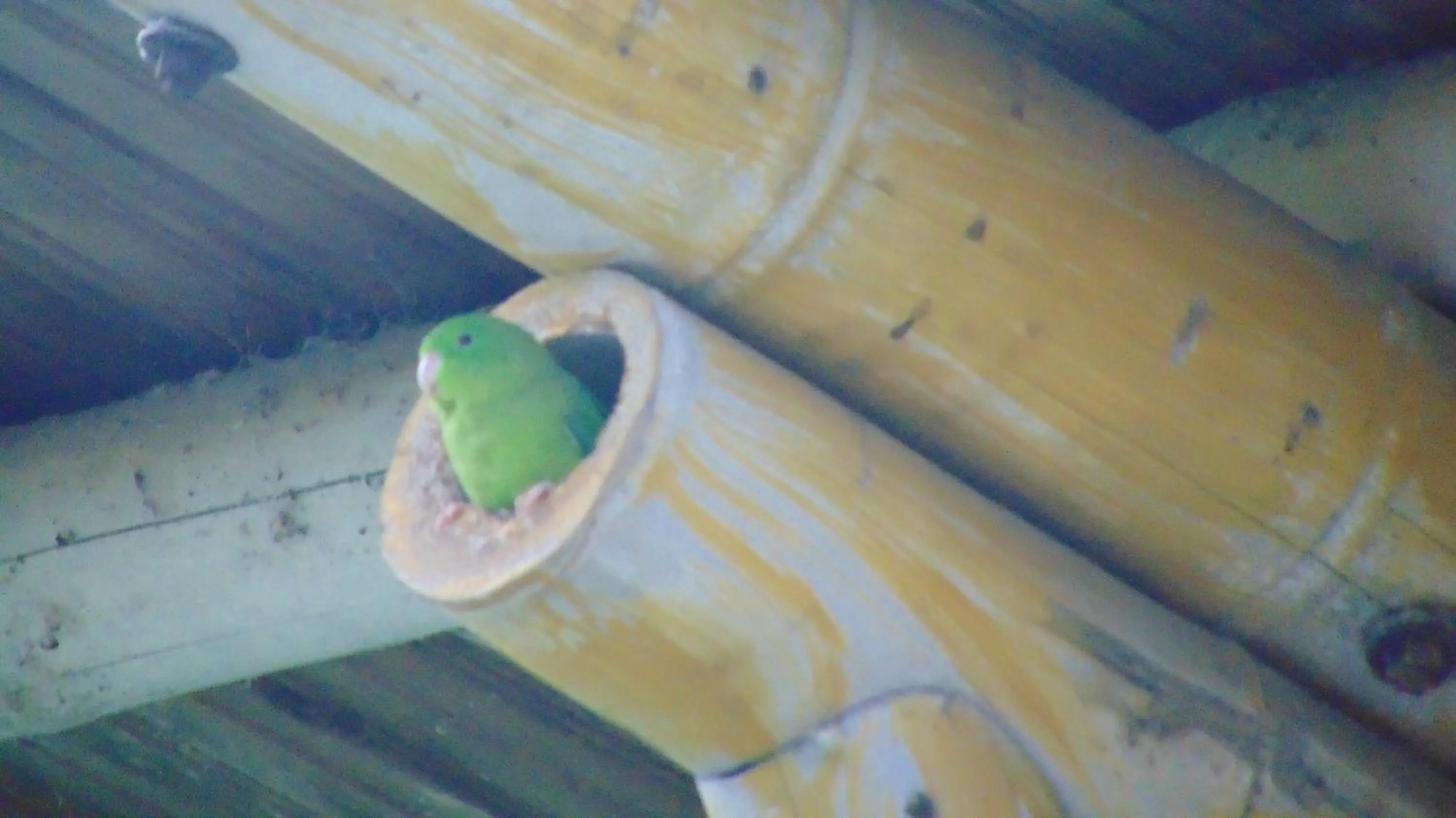 Finca Hotel La Quinta Porra