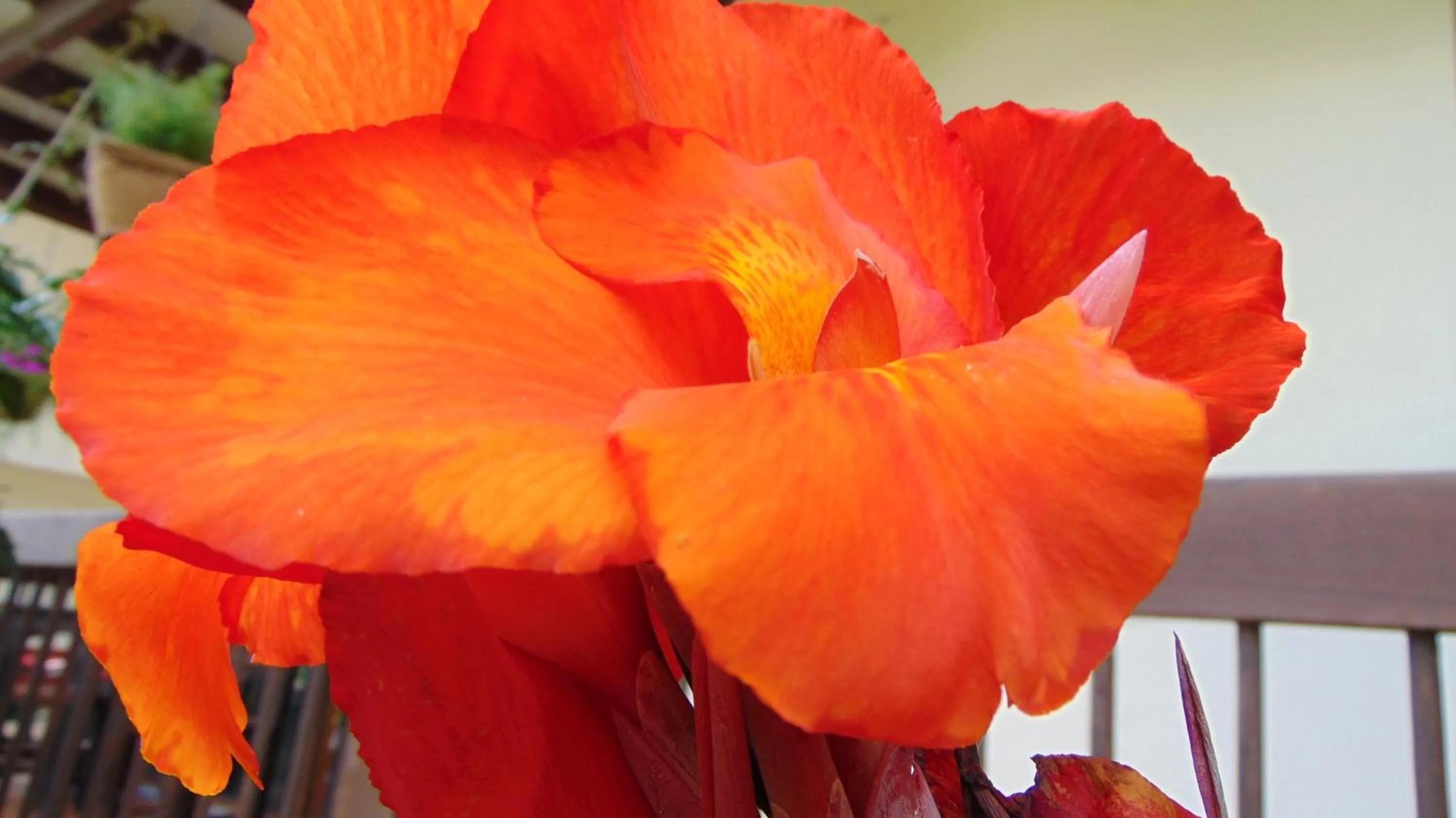 Finca Hotel La Quinta Porra