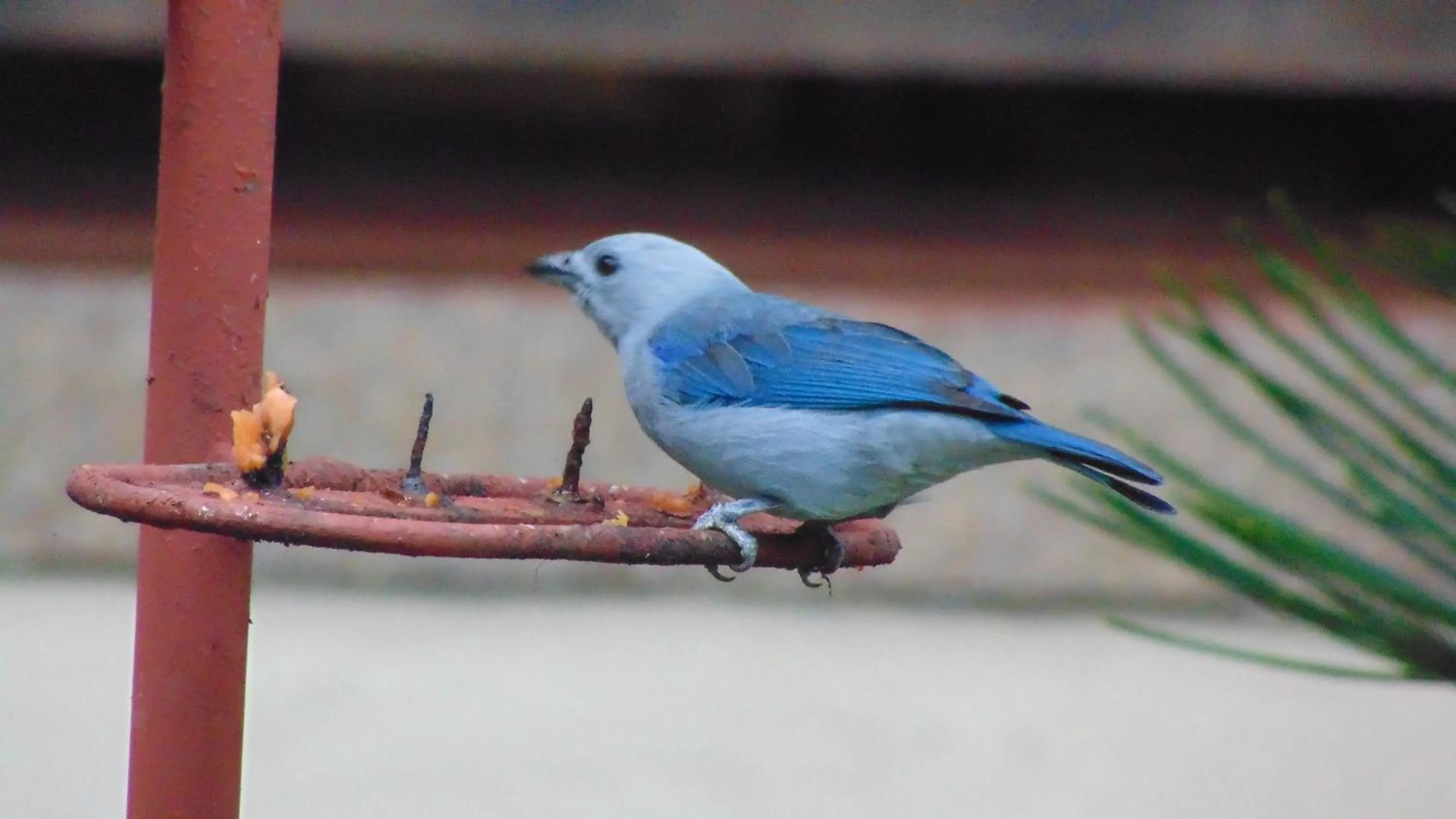 Finca Hotel La Quinta Porra
