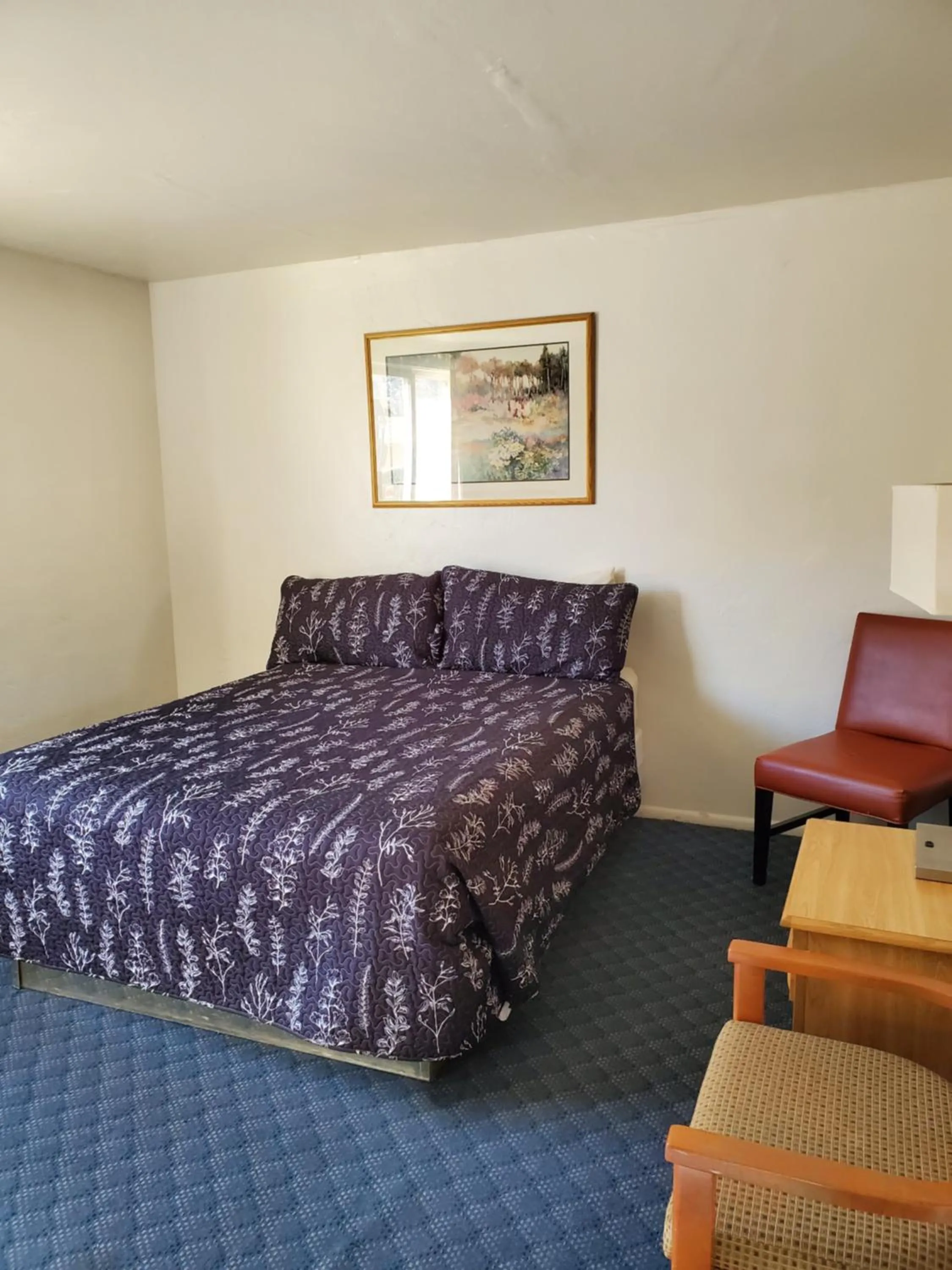 Bed in Budget Inn Durango