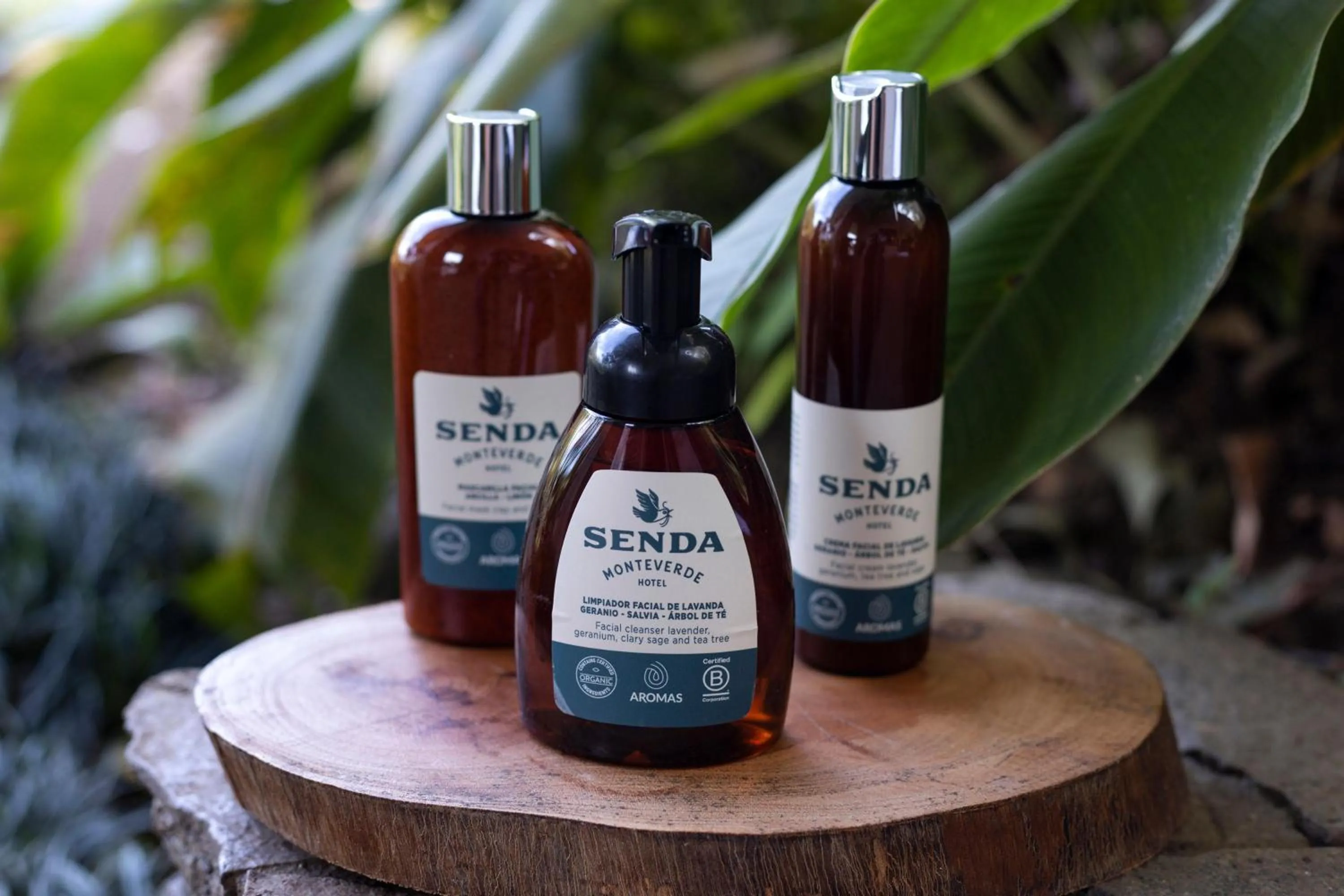 Activities in Senda Monteverde Hotel Member of the Cayuga Collection