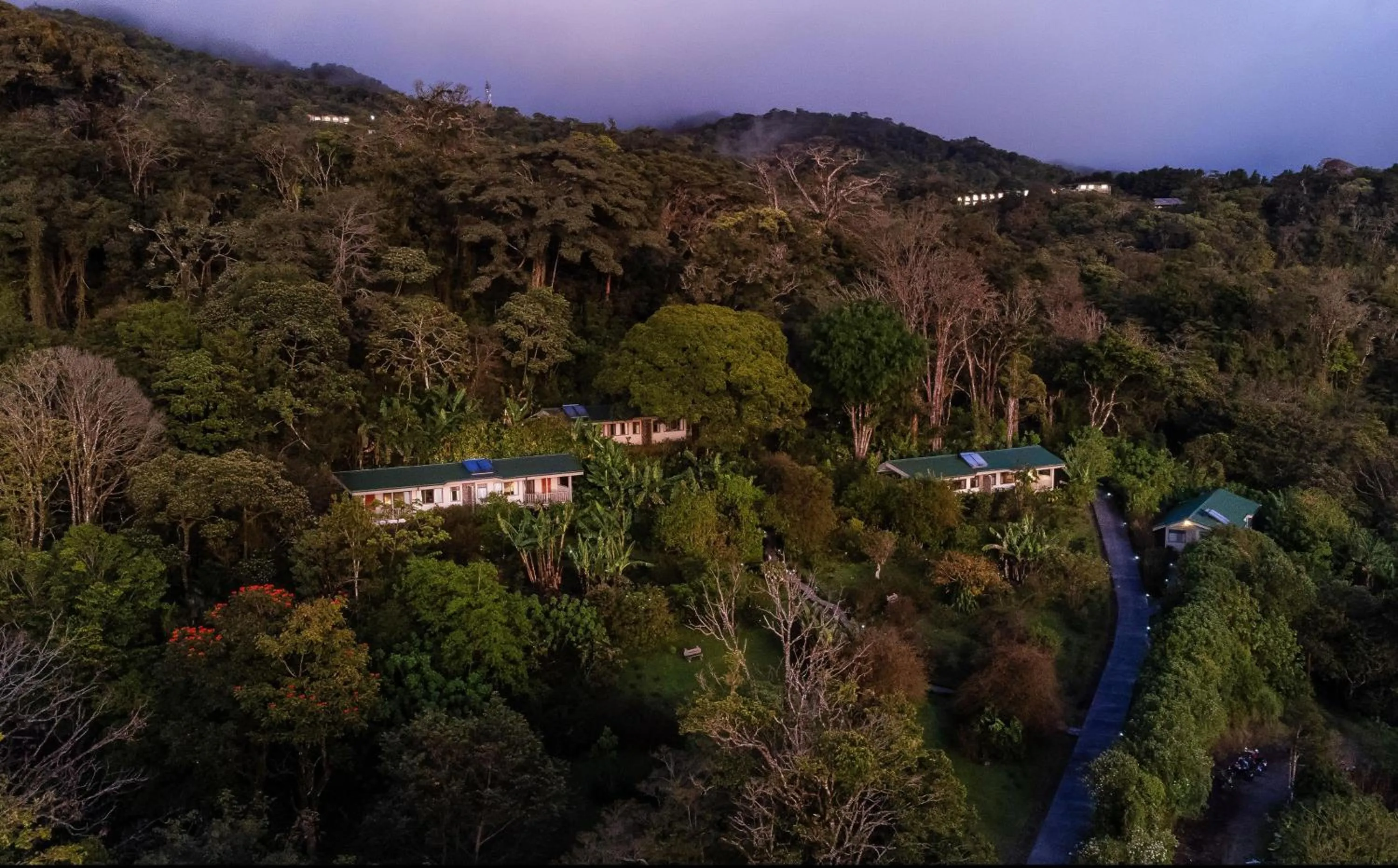Natural landscape in Senda Monteverde Hotel Member of the Cayuga Collection