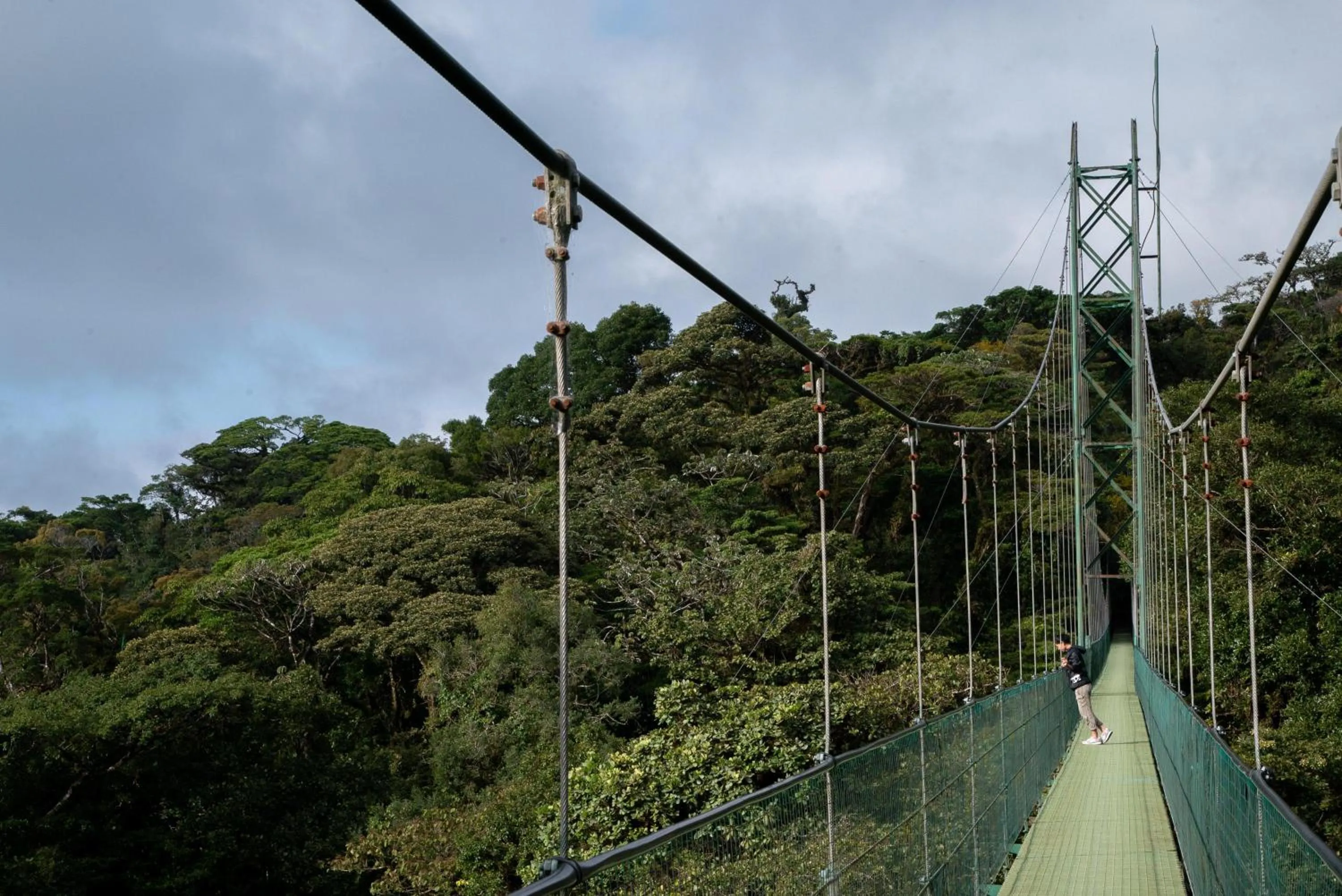 Natural landscape in Senda Monteverde Hotel Member of the Cayuga Collection