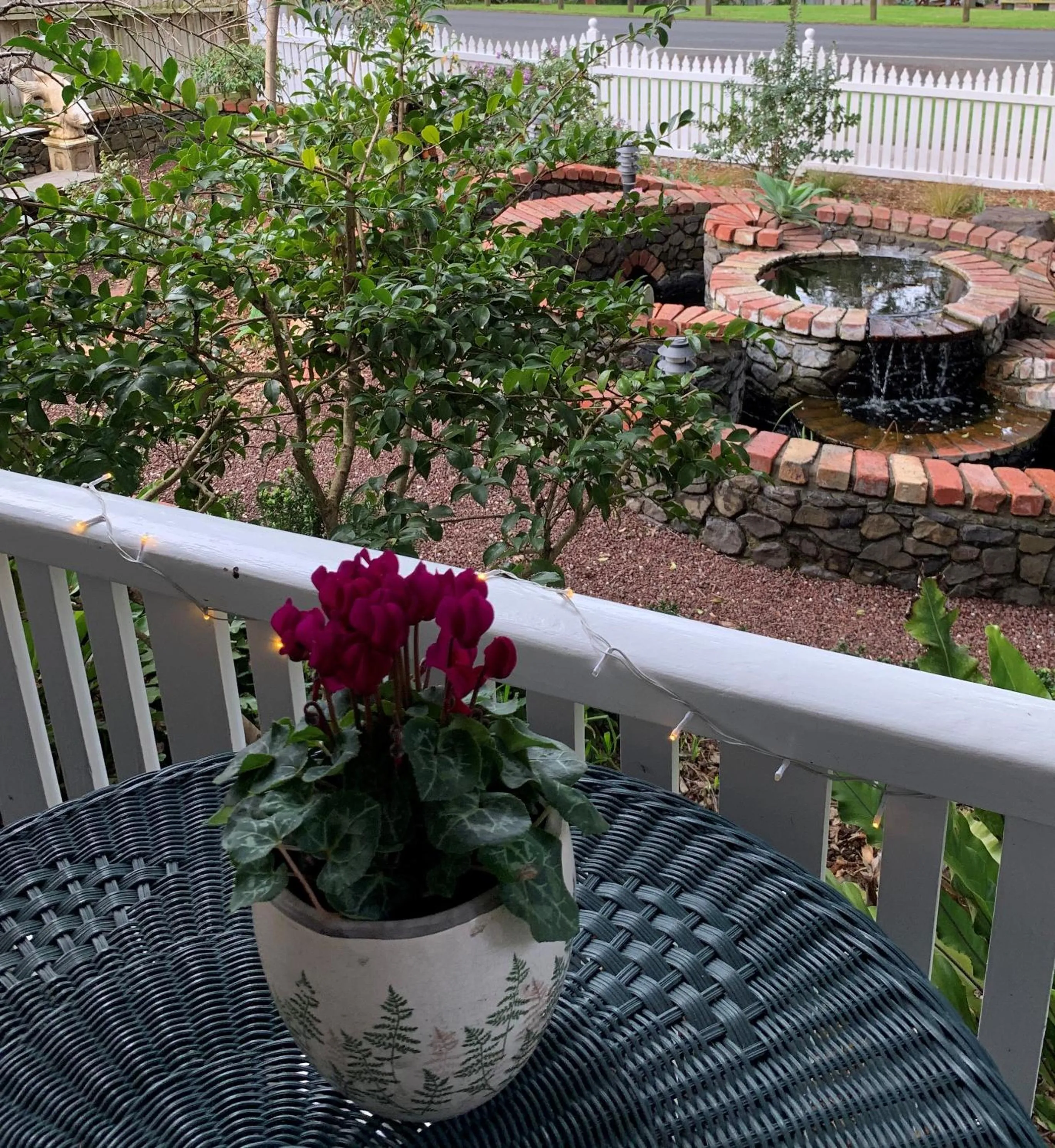 Garden view in Genesta House