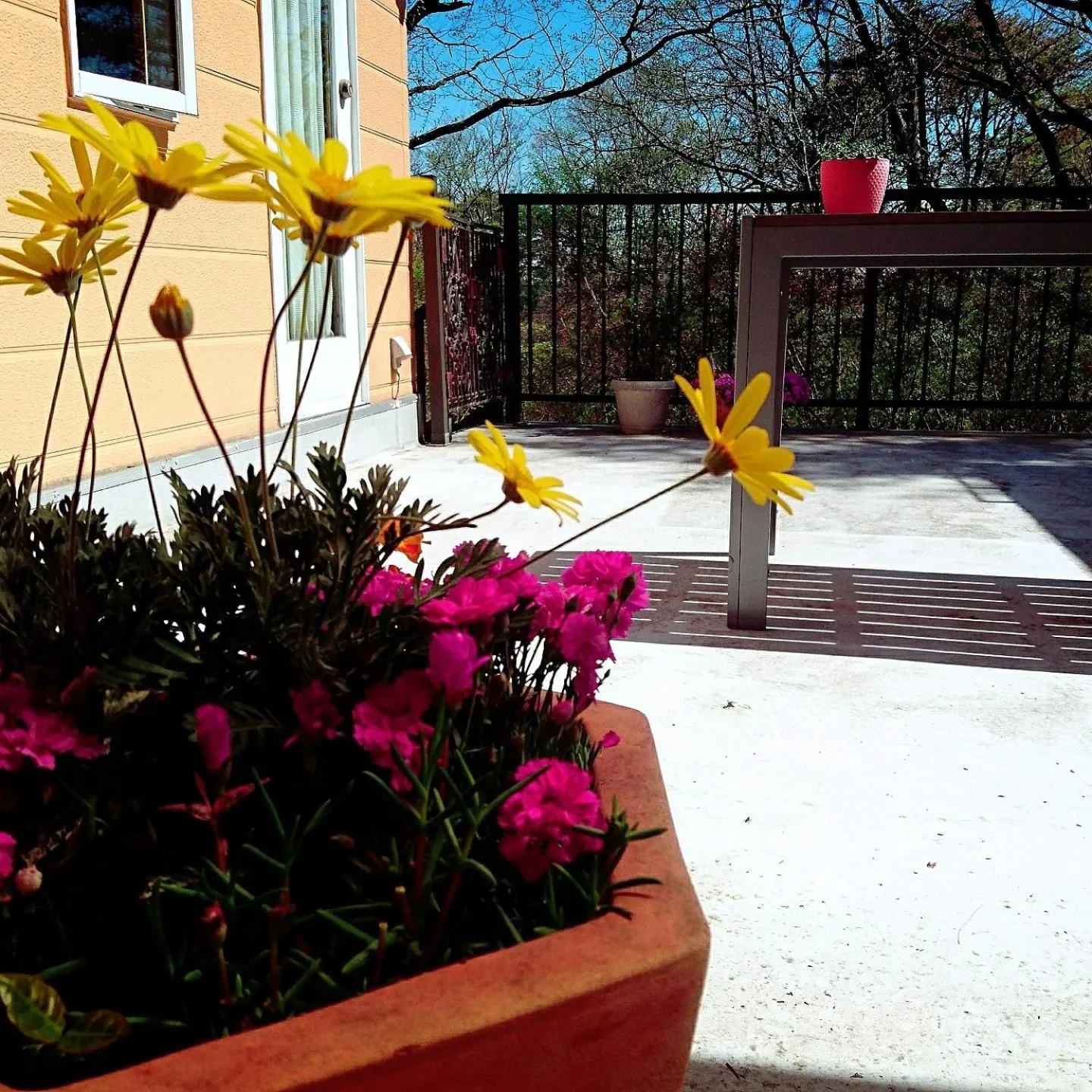 Second House Plus 1組貸し切りのペンション A one group booking per day lodging house