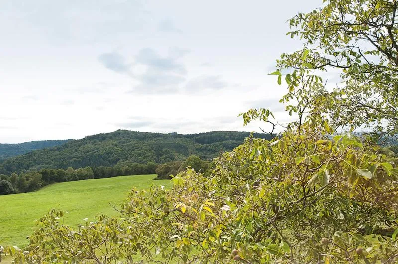 Mountain view in Bergoase Panorama-Apartments