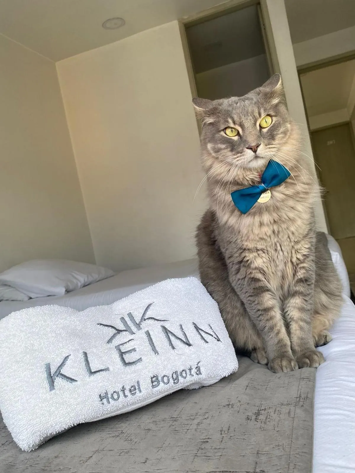 KLEINN HOTEL BOGOTÁ