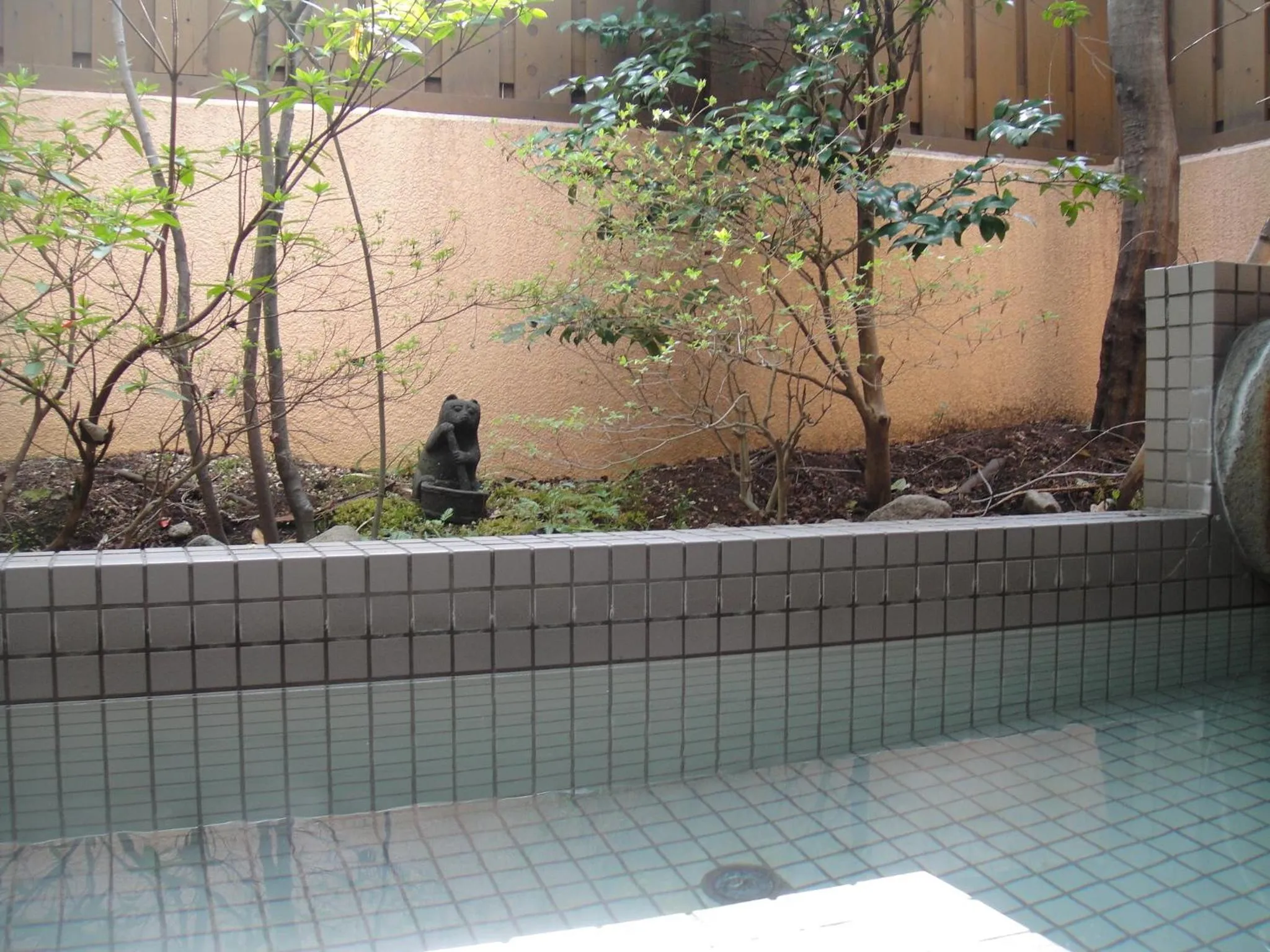 Hot Spring Bath in Oyado Ichifuji