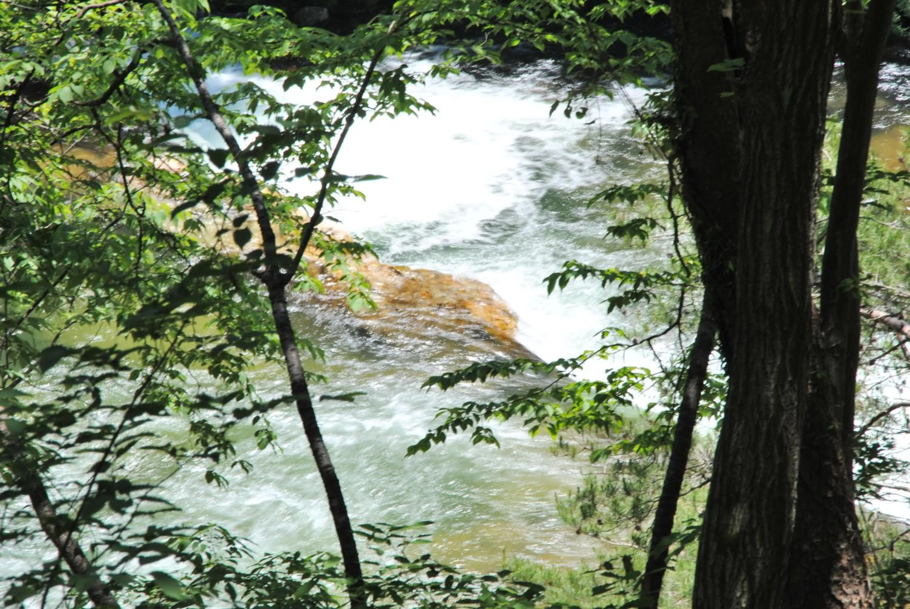 Natural landscape in Oyado Ichifuji