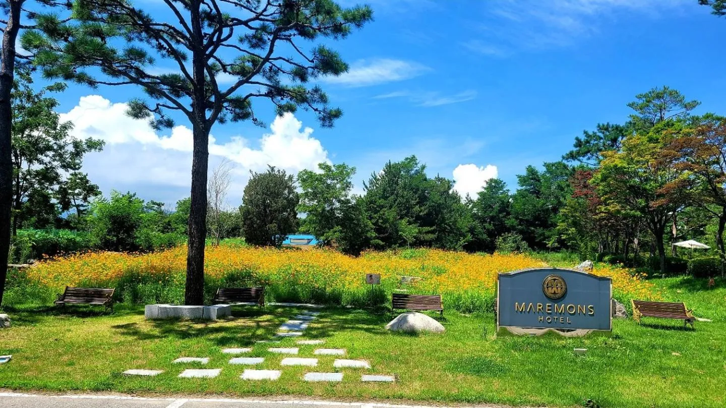 Property building in Hotel Maremons