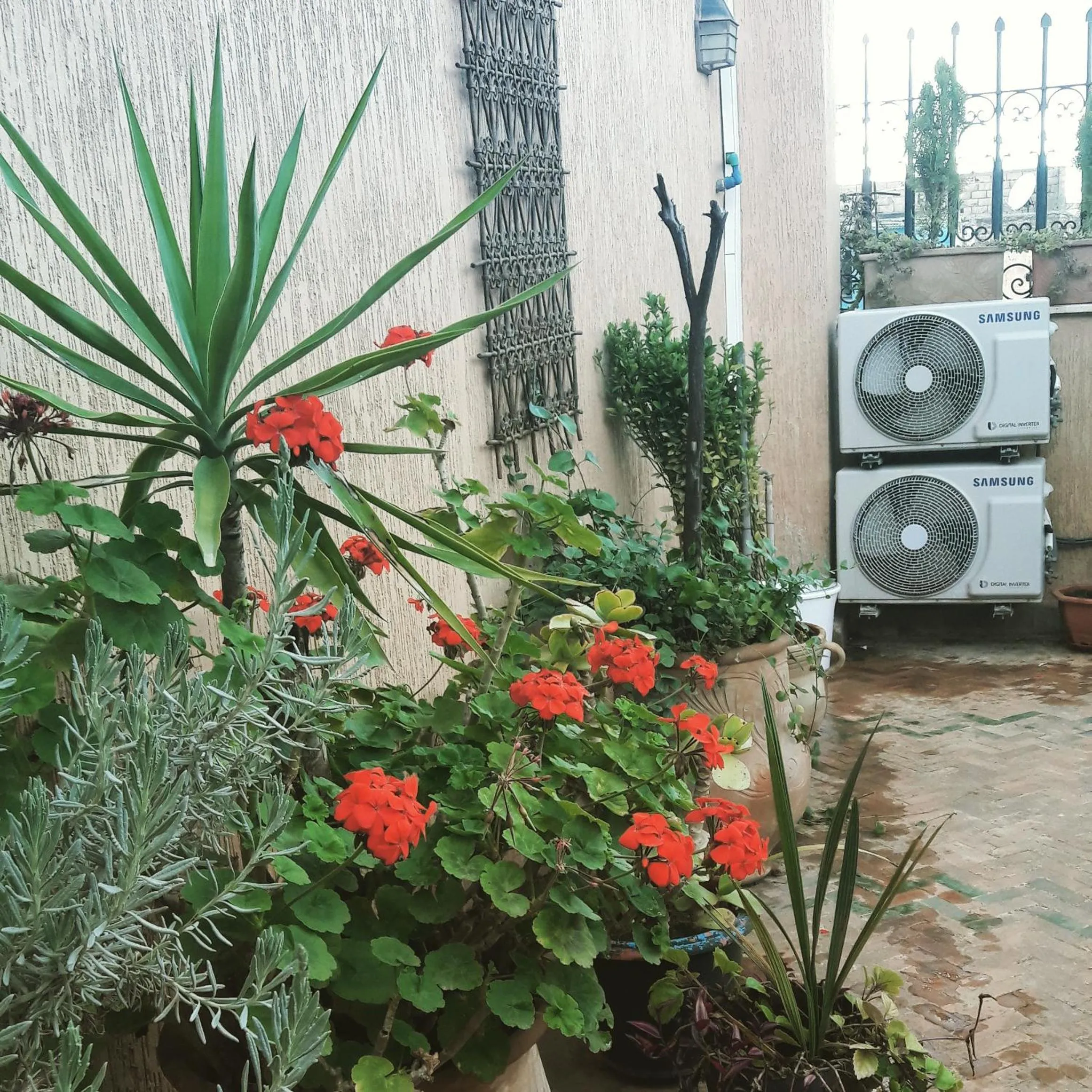 Patio in Dar Pa Labzioui