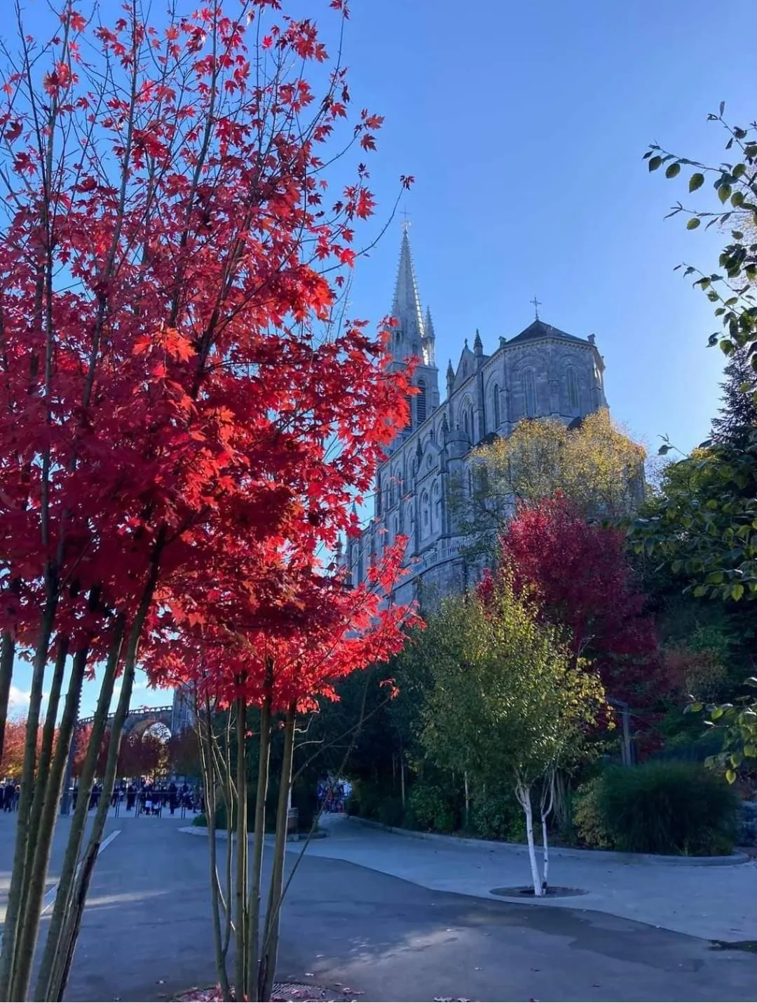 Natural landscape in Hôtel La Source