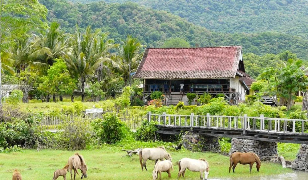 Restaurant/places to eat in Lakey Beach Inn hotel